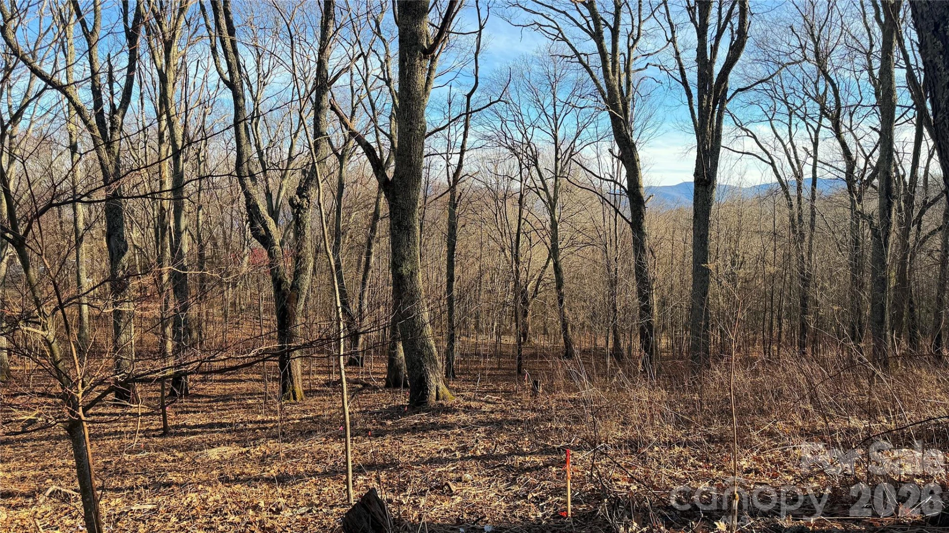 114 Eagle View Circle - Photo 2