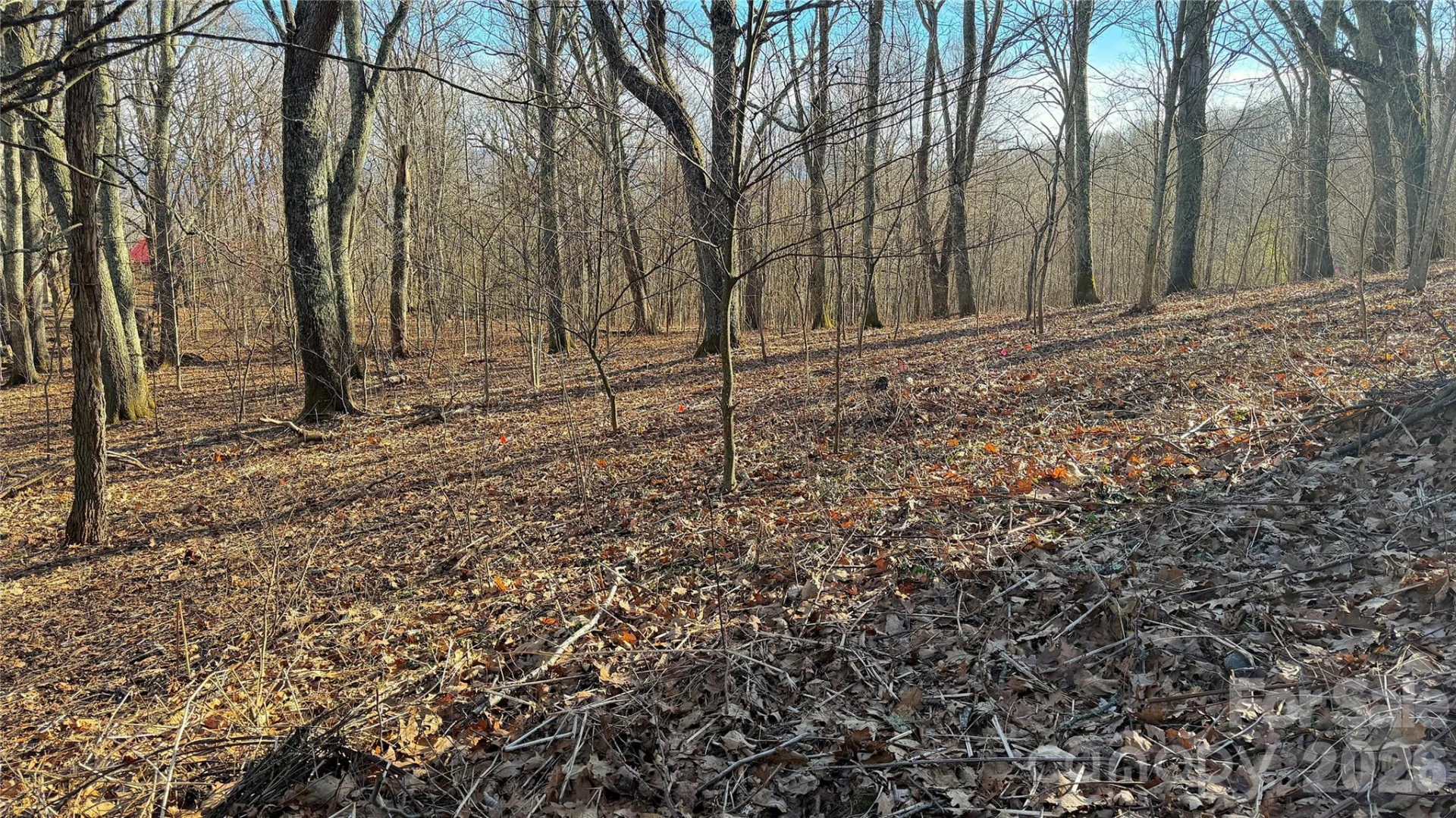 114 Eagle View Circle - Photo 4