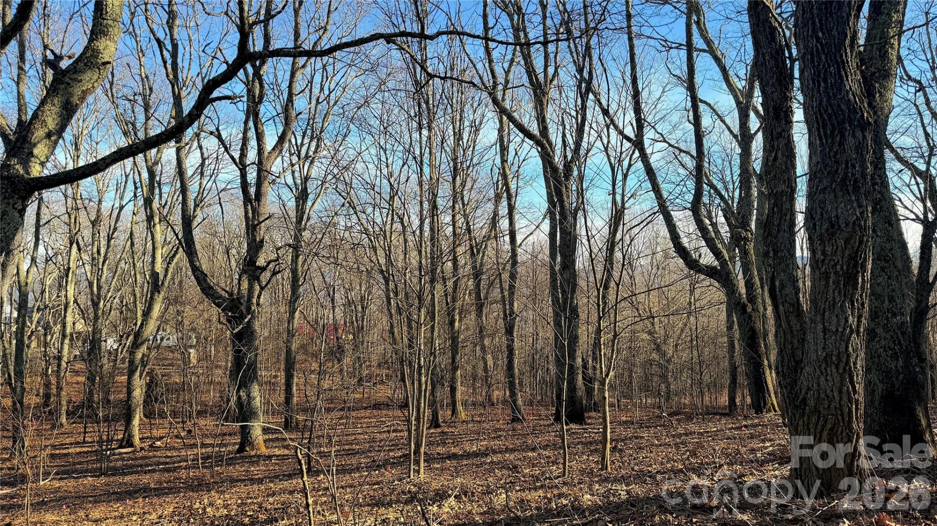 114 Eagle View Circle - Photo 11