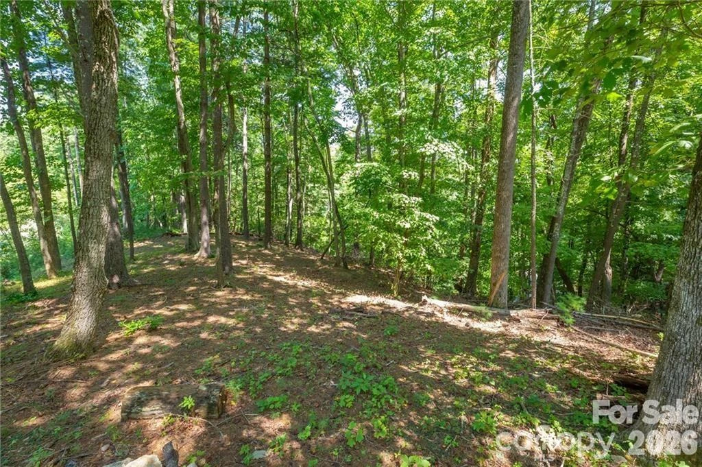 8520 Indian Trace - Photo 2