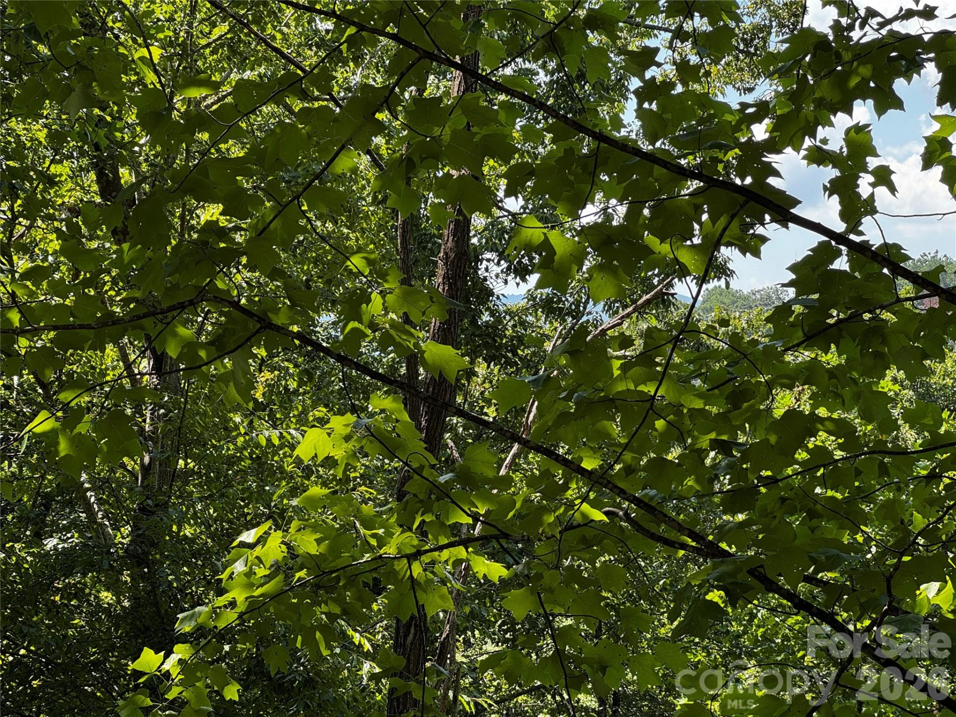 0 Rock Ledge Drive #240, 307, 346 - Photo 10