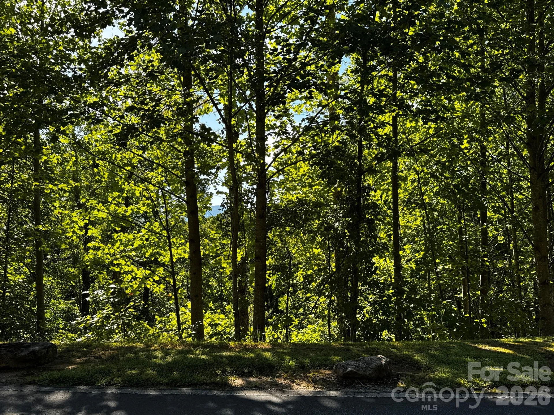 0 Rock Ledge Drive #240, 307, 346 - Photo 12