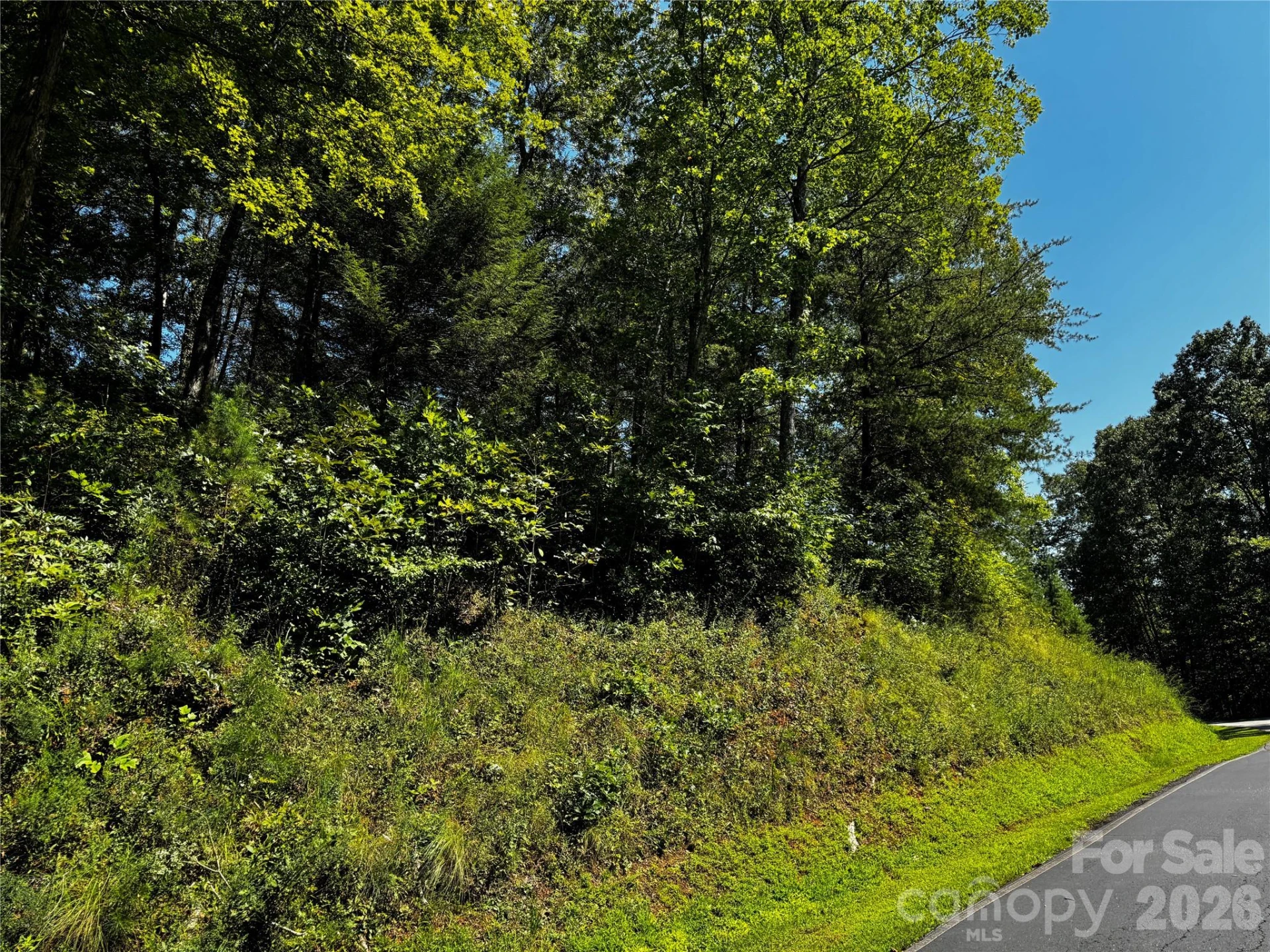 0 Rock Ledge Drive #240, 307, 346 - Photo 13