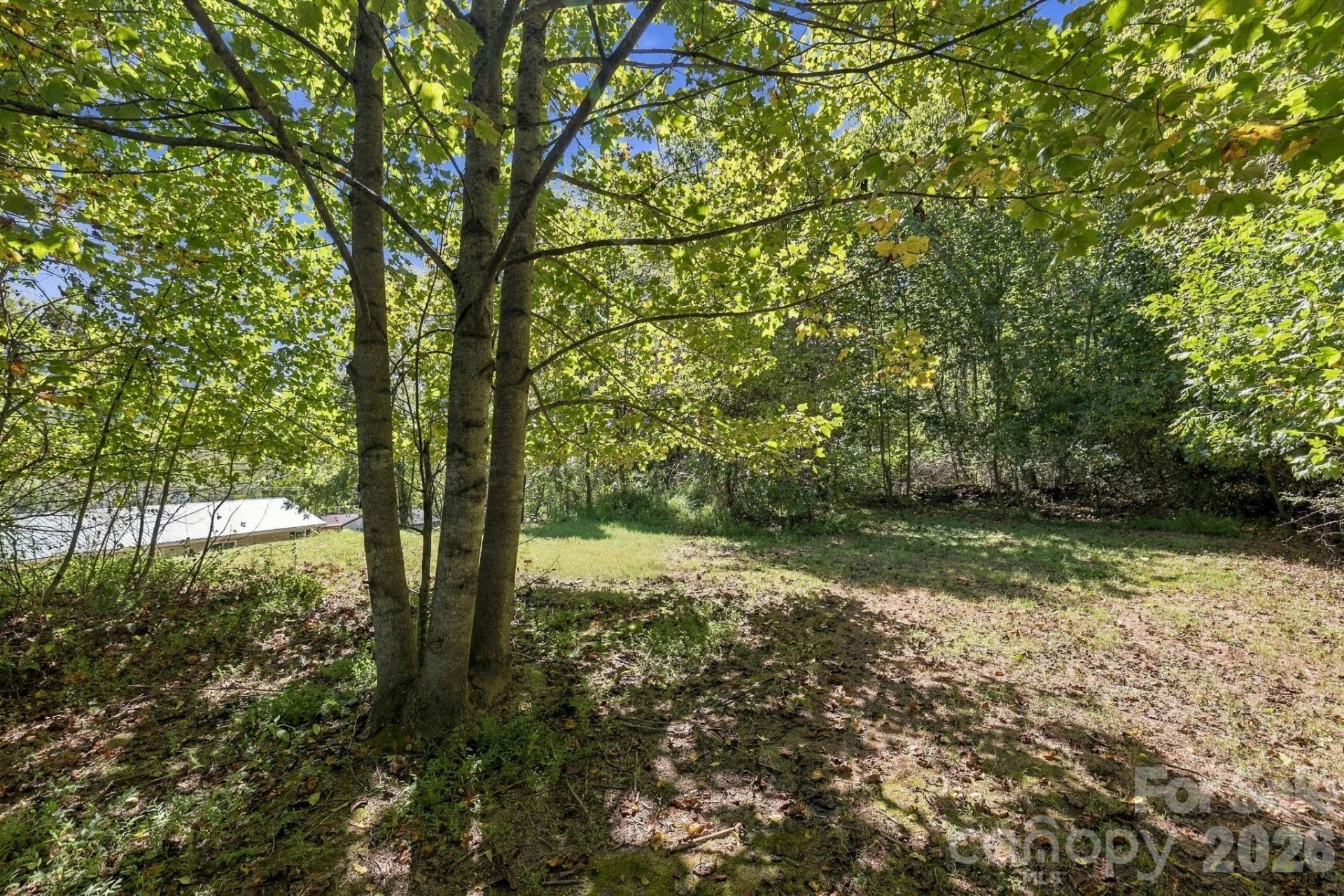 20 Warren Creek Road - Photo 10