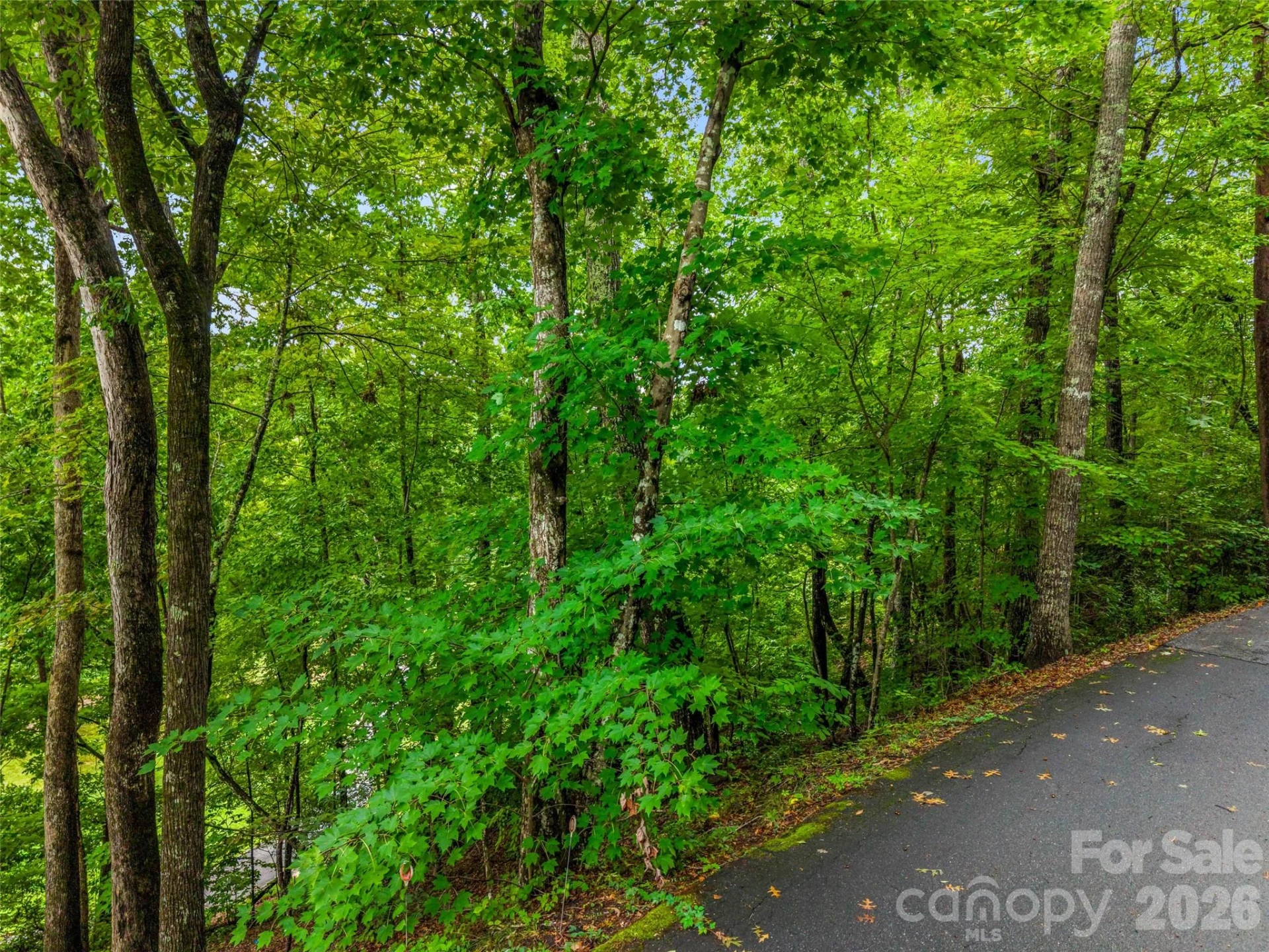 00 Huntington Road - Photo 6