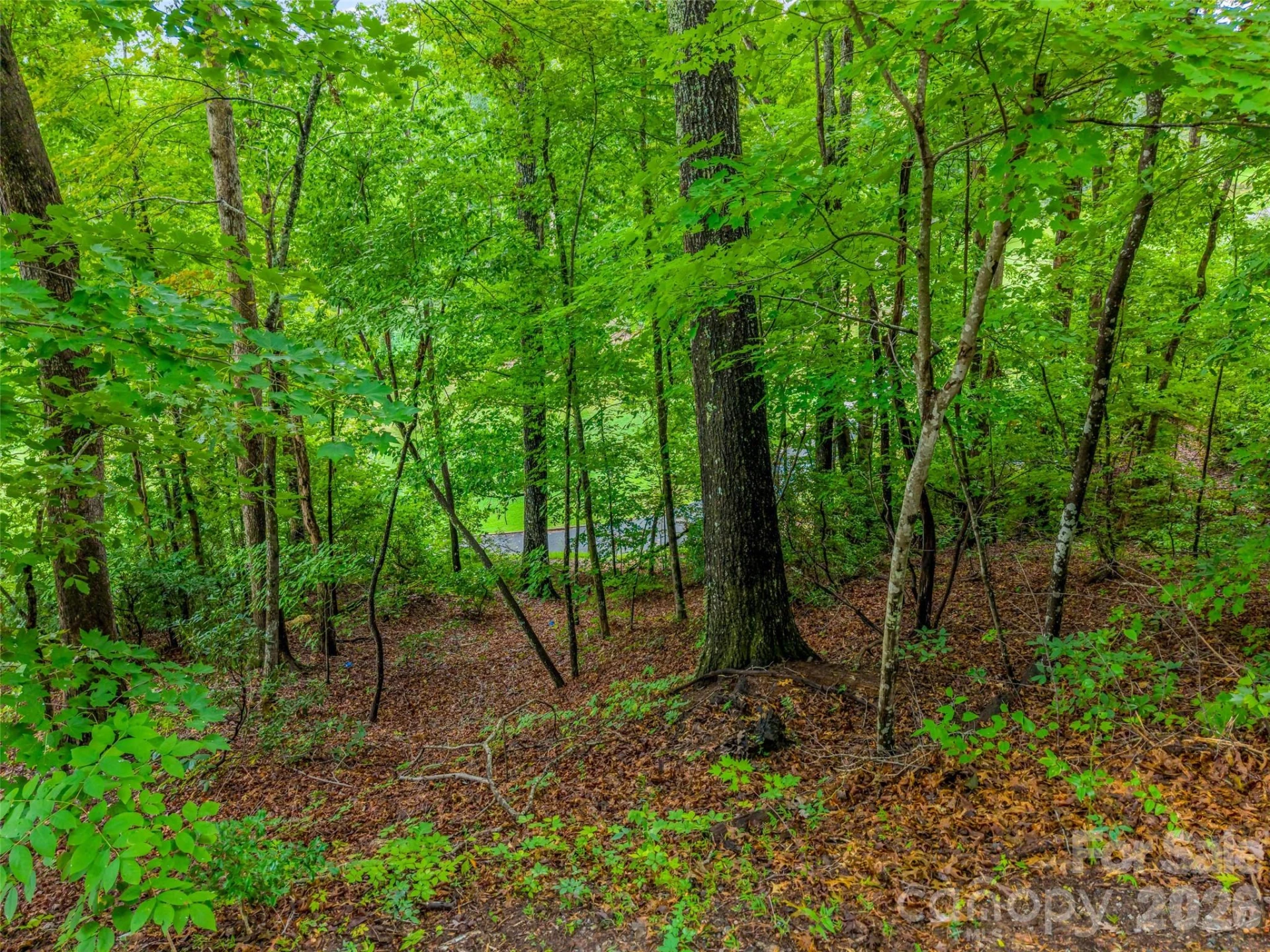 00 Huntington Road - Photo 7