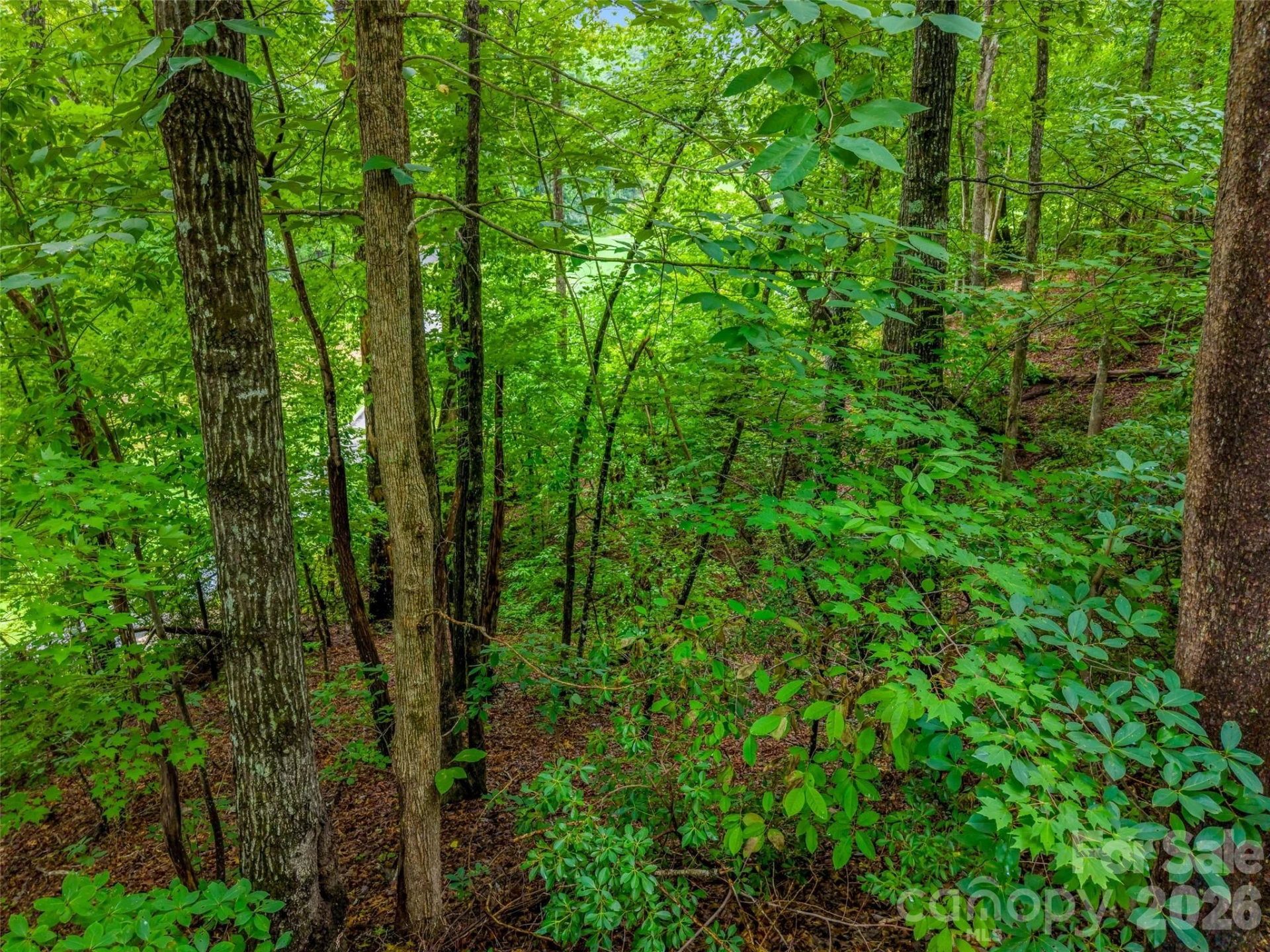 00 Huntington Road - Photo 8