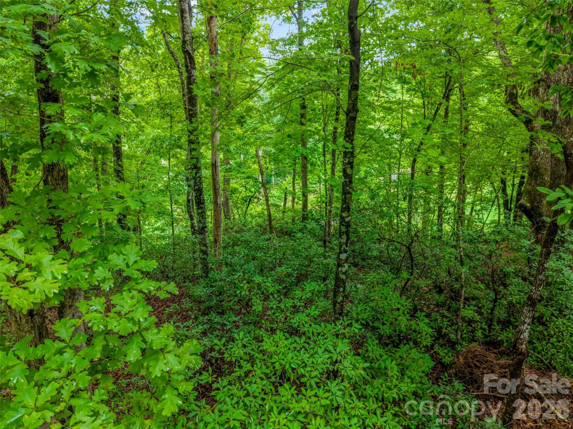 00 Huntington Road - Photo 10