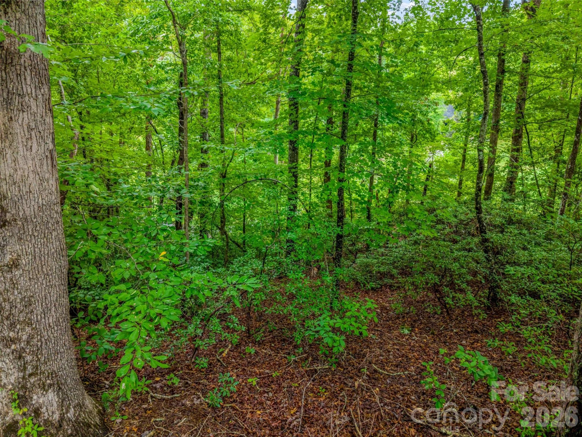 00 Huntington Road - Photo 11