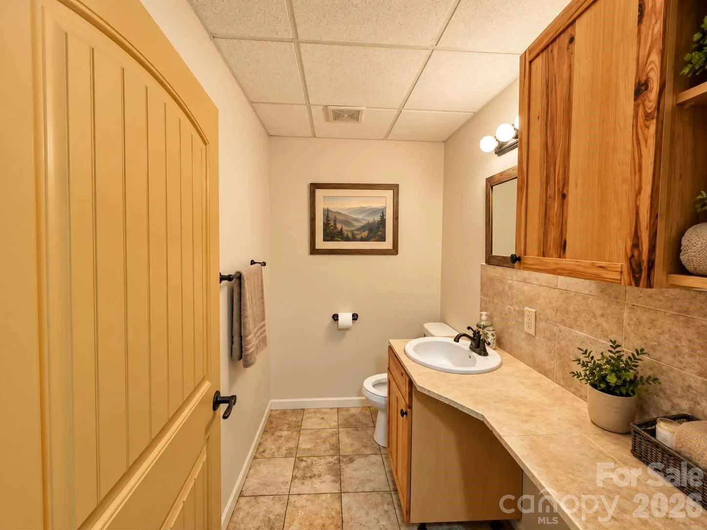 259 Travelers Rest Lane - Photo 32