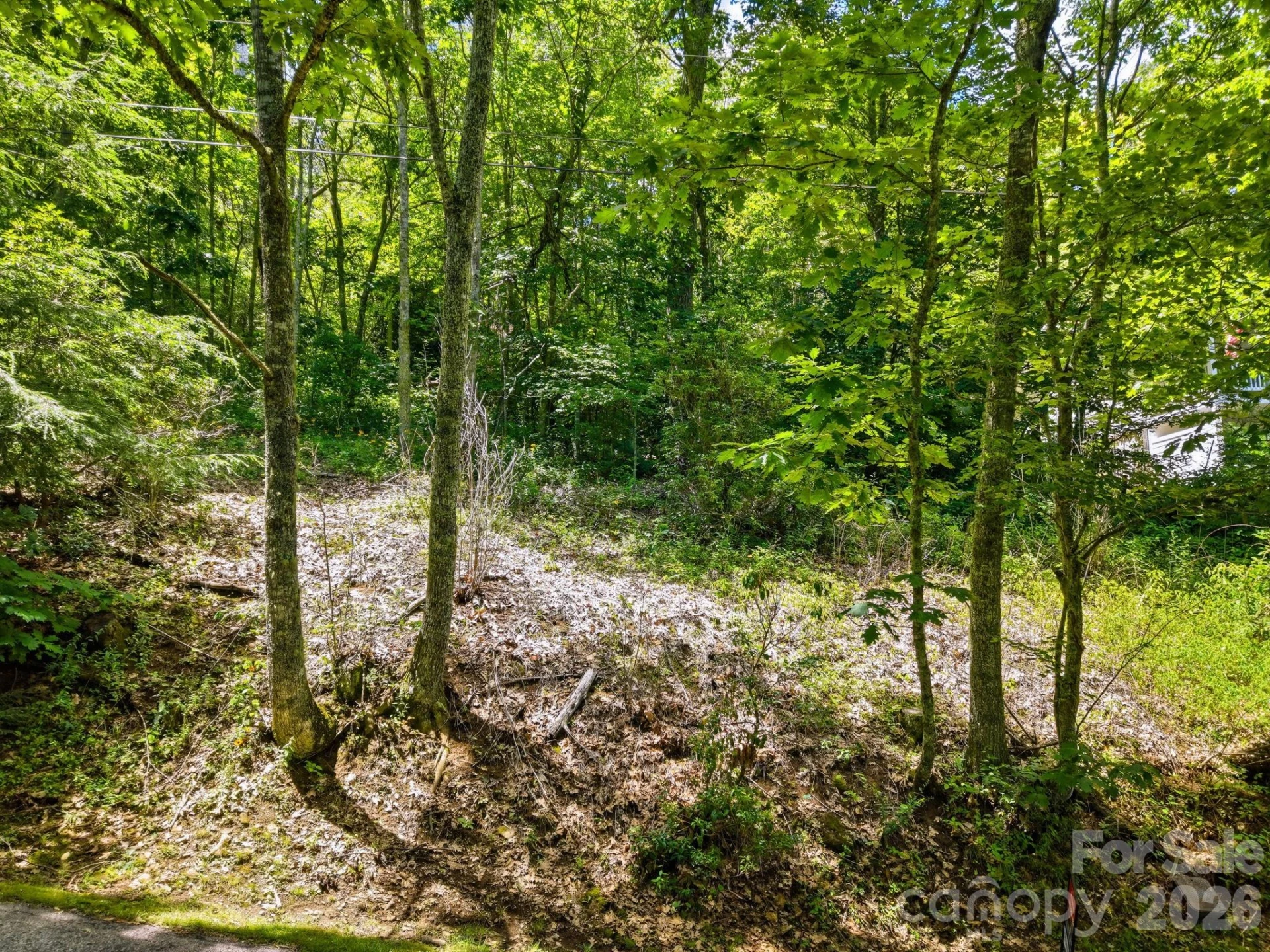 0 Eagles Nest Road #5 - Photo 4
