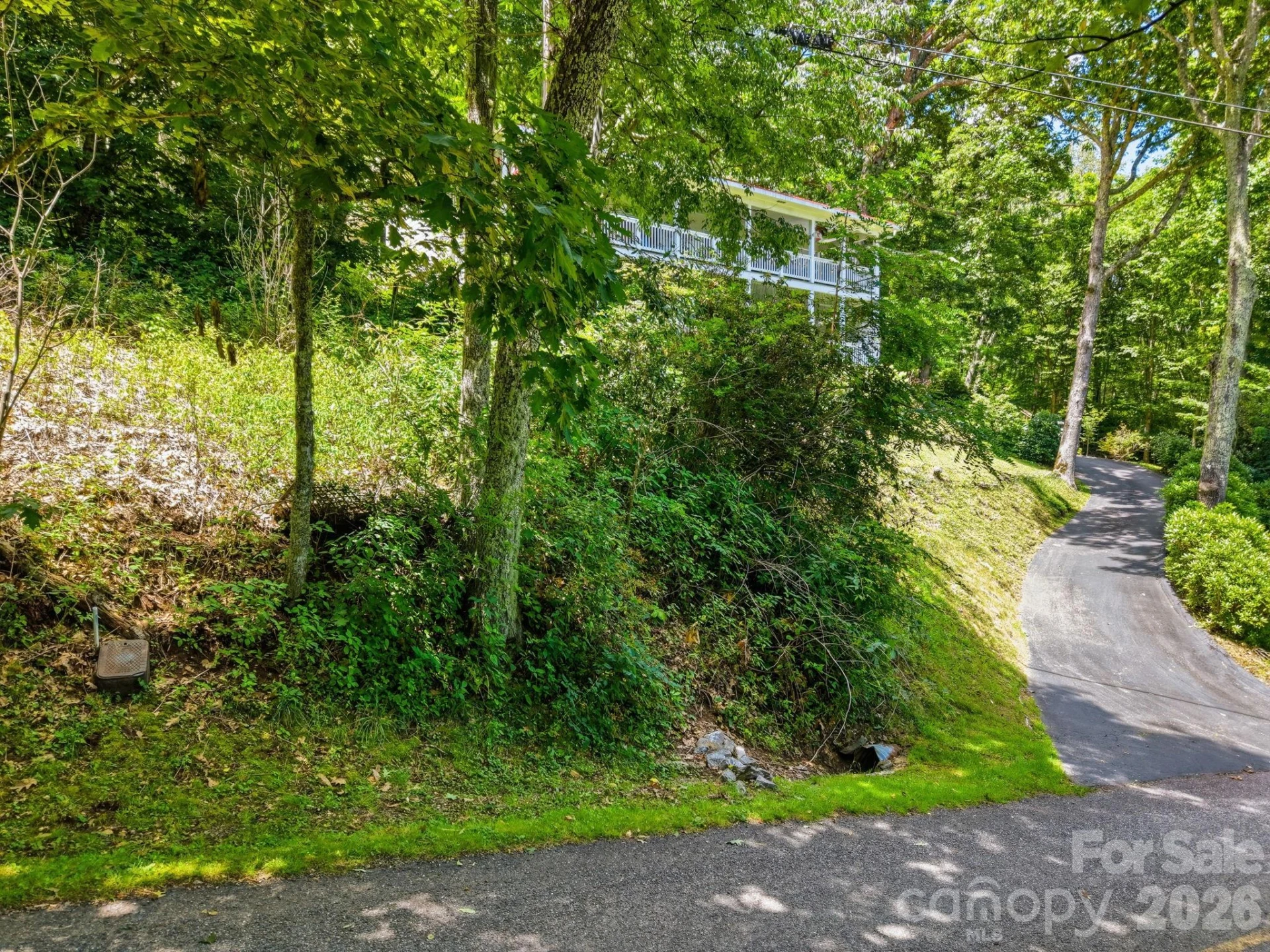 0 Eagles Nest Road #5 - Photo 5