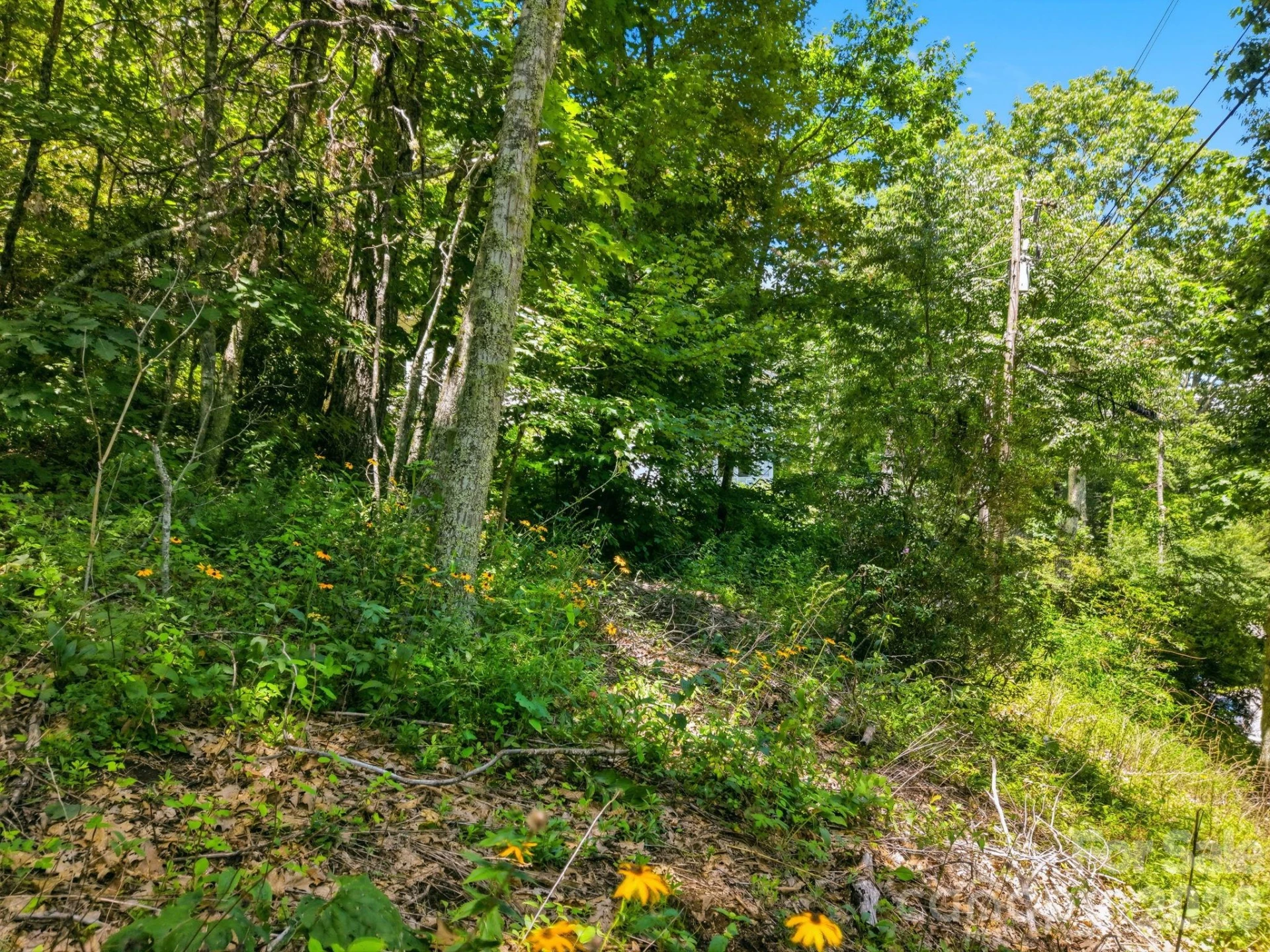 0 Eagles Nest Road #5 - Photo 6