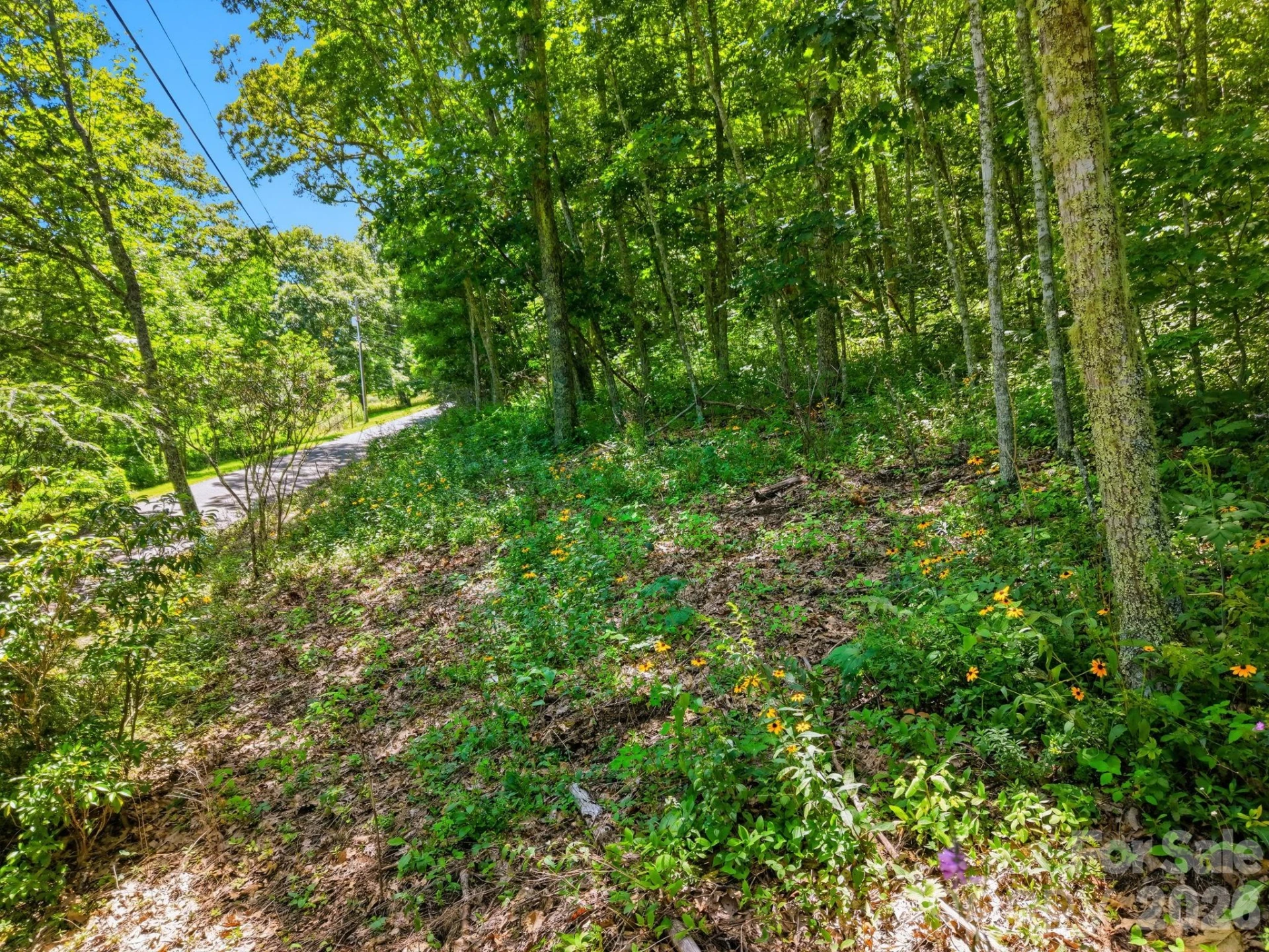 0 Eagles Nest Road #5 - Photo 7