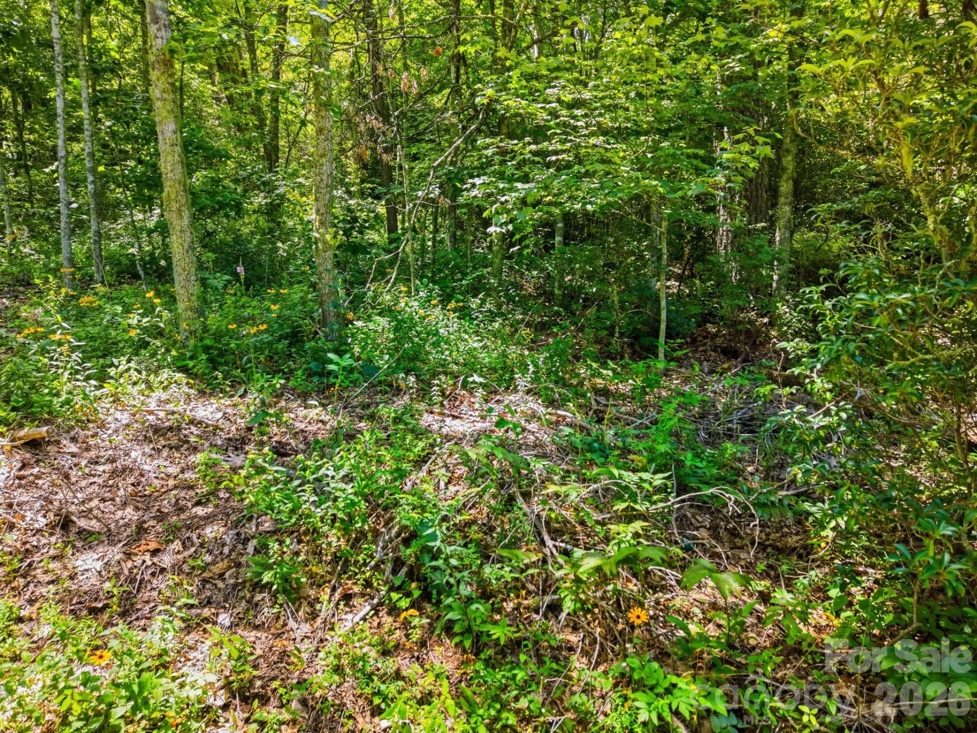0 Eagles Nest Road #5 - Photo 9