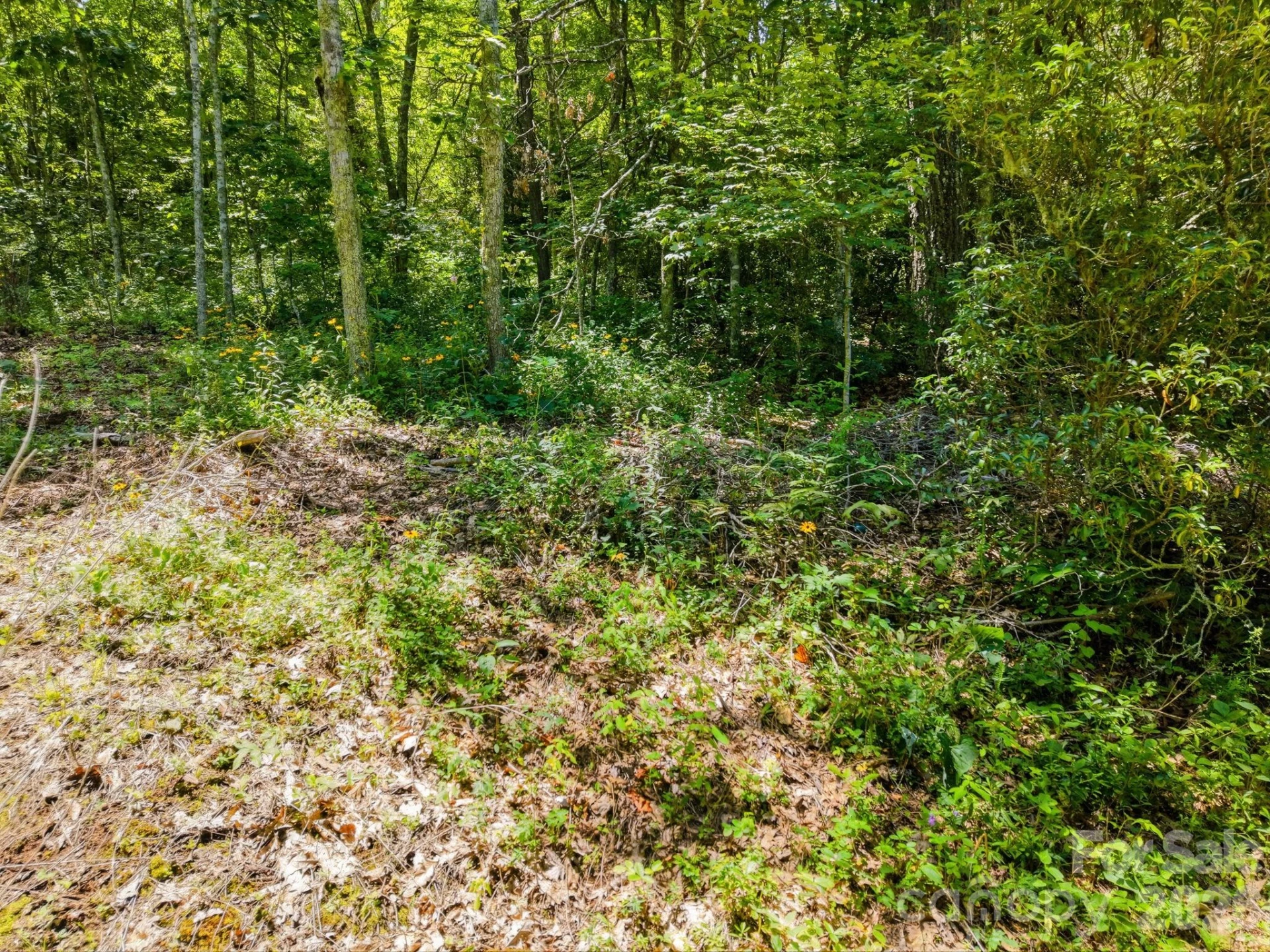 0 Eagles Nest Road #5 - Photo 10