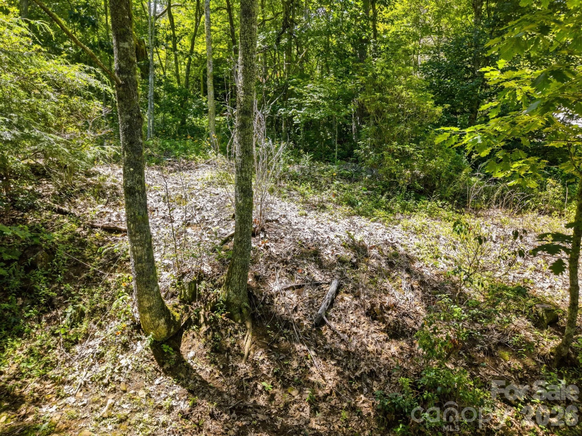 0 Eagles Nest Road #5 - Photo 11