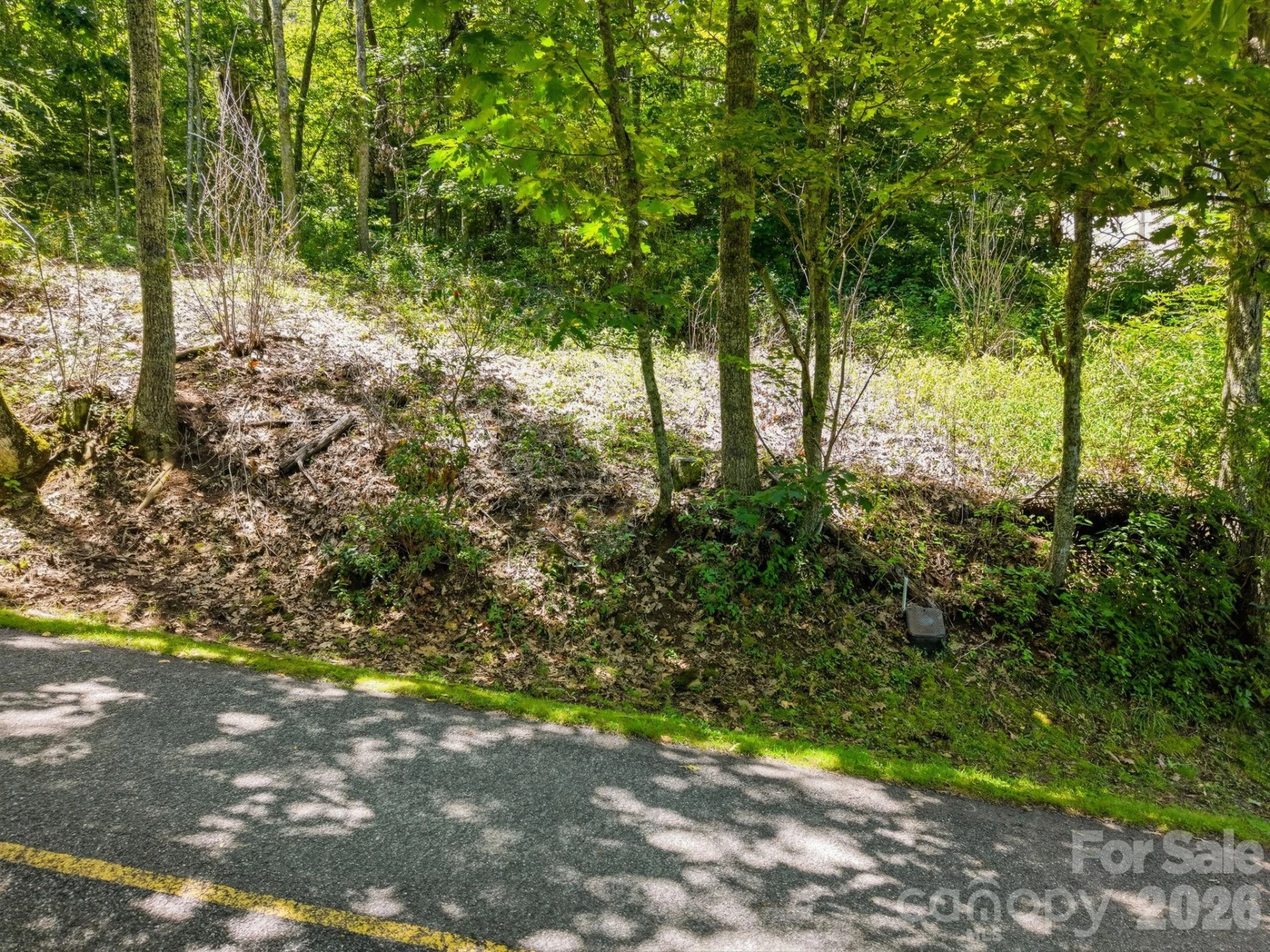 0 Eagles Nest Road #5 - Photo 13
