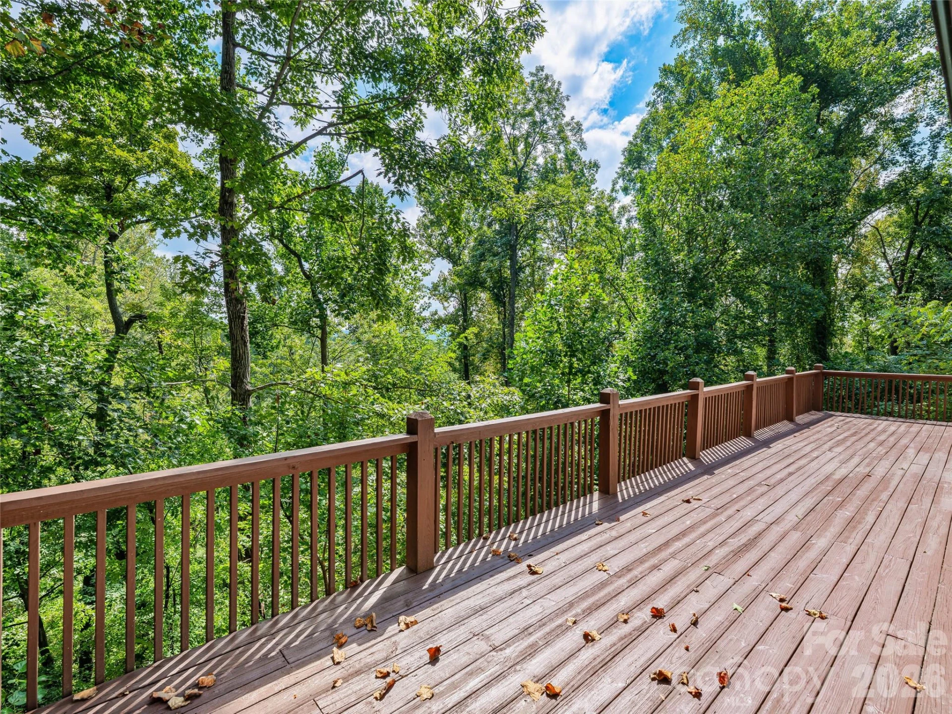 57 Mount Royal Drive - Photo 32