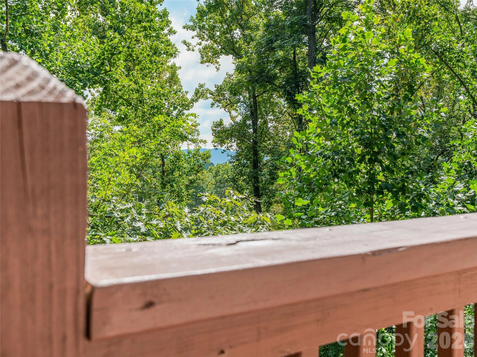 57 Mount Royal Drive - Photo 33