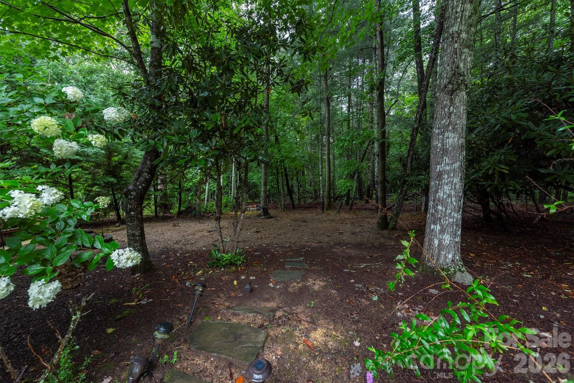 25 Deer Trail Way - Photo 45