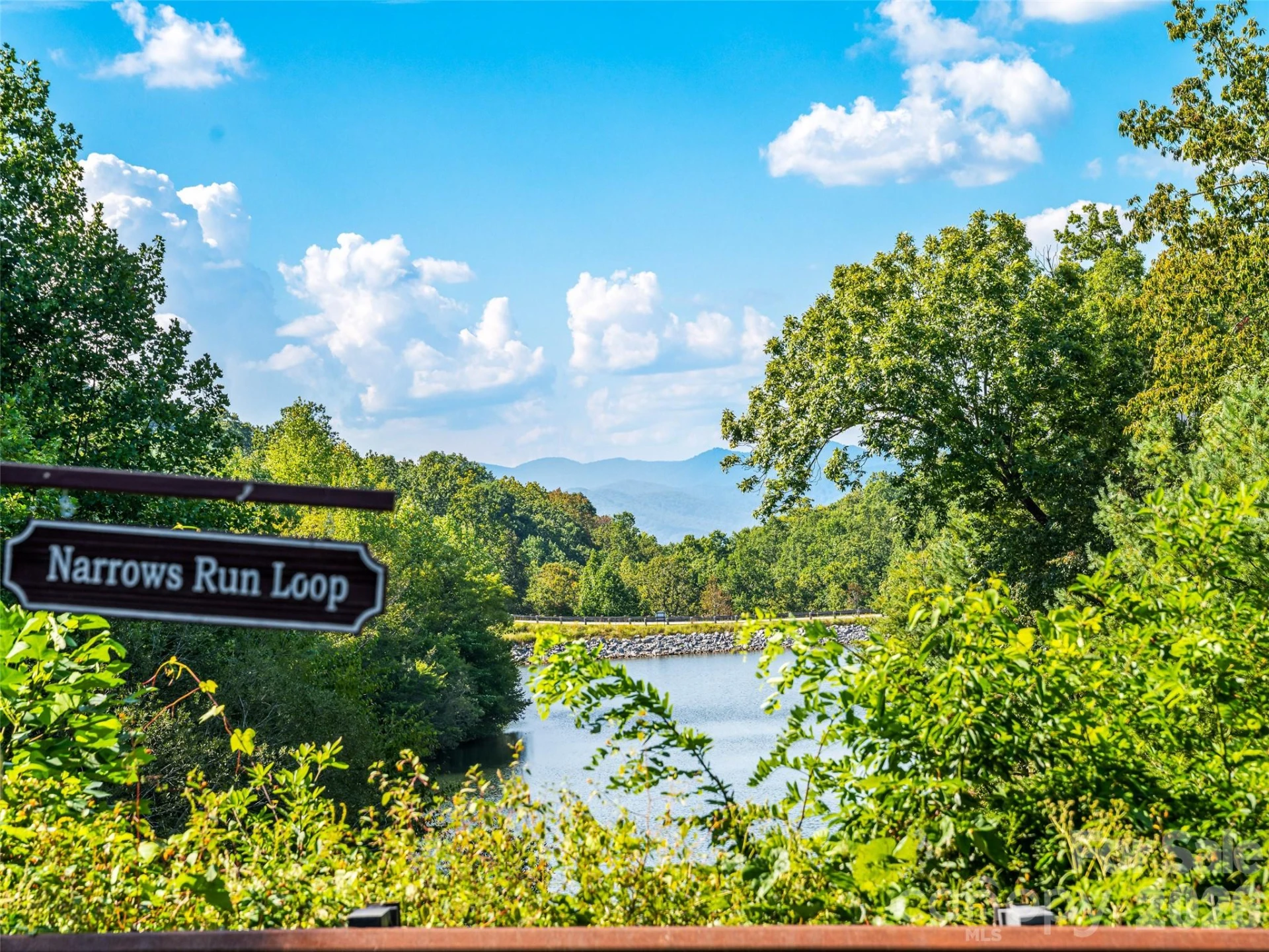 158 Narrows Run Loop - Photo 43