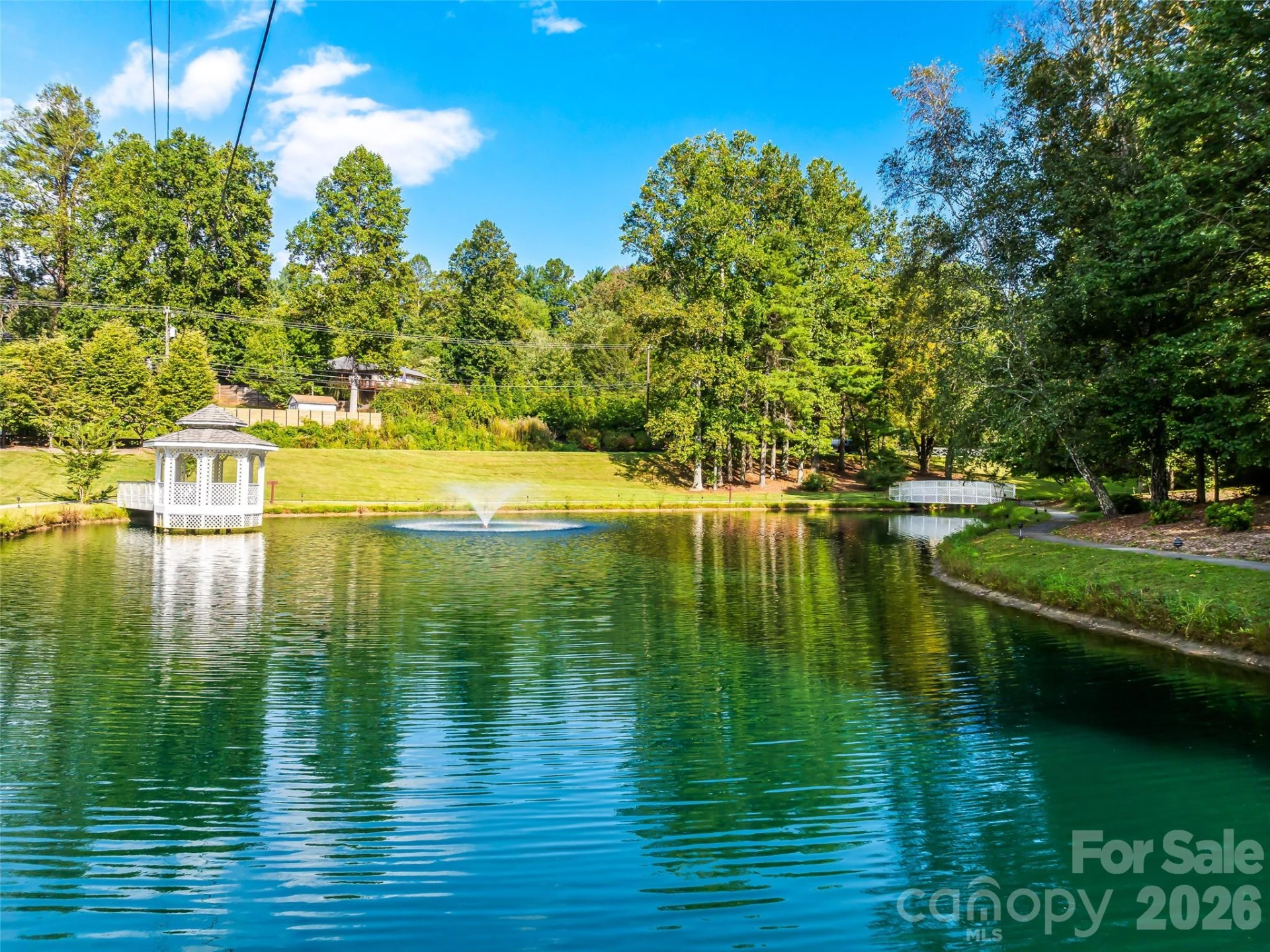 158 Narrows Run Loop - Photo 46