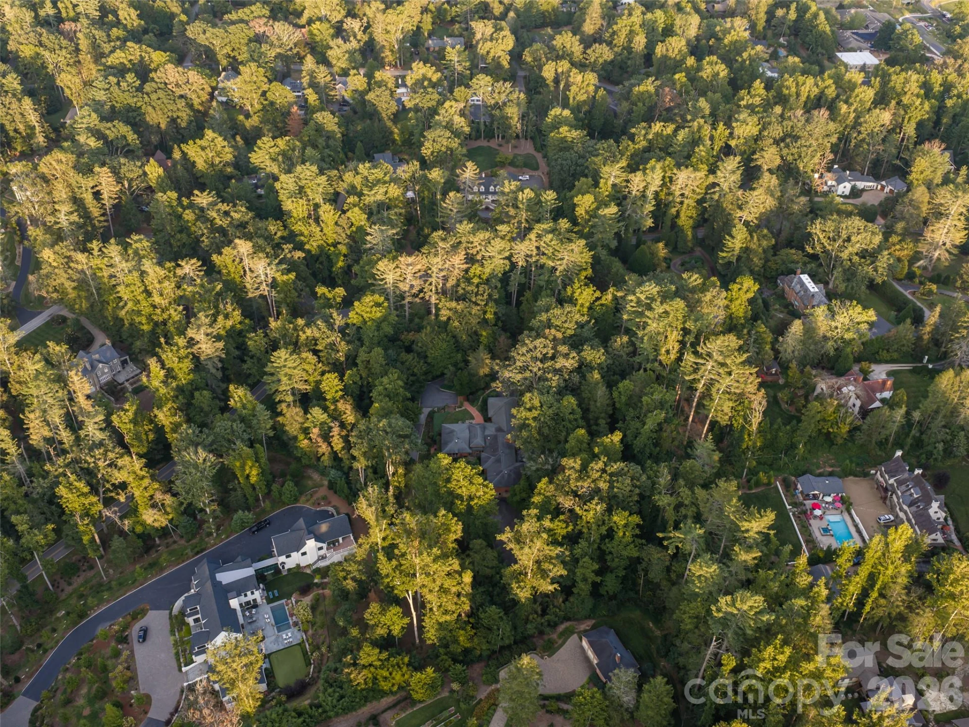 57 Stuyvesant Road - Photo 48