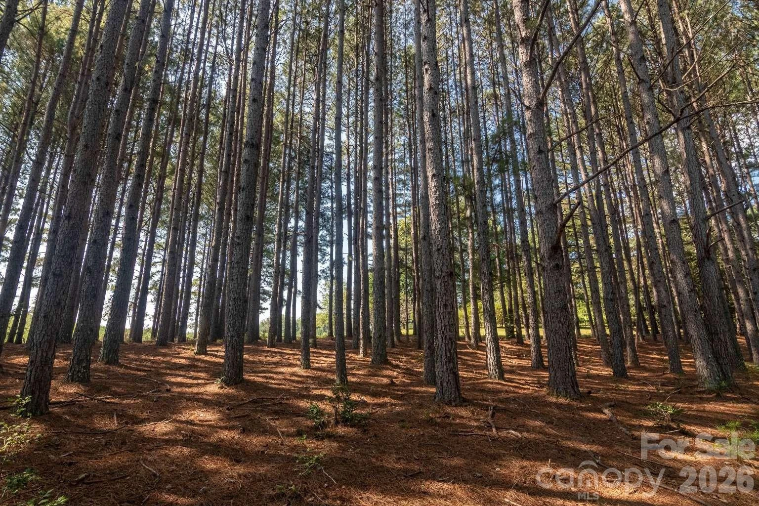 500 Turner Road - Photo 13