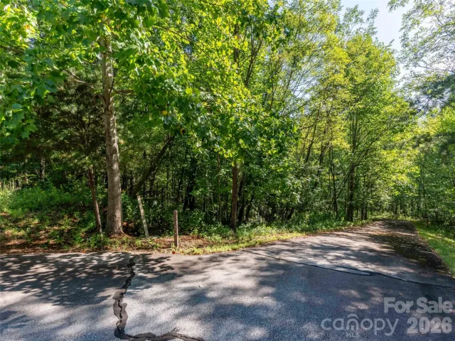Lot 177 Grafton None, Mill Spring, NC, 28756