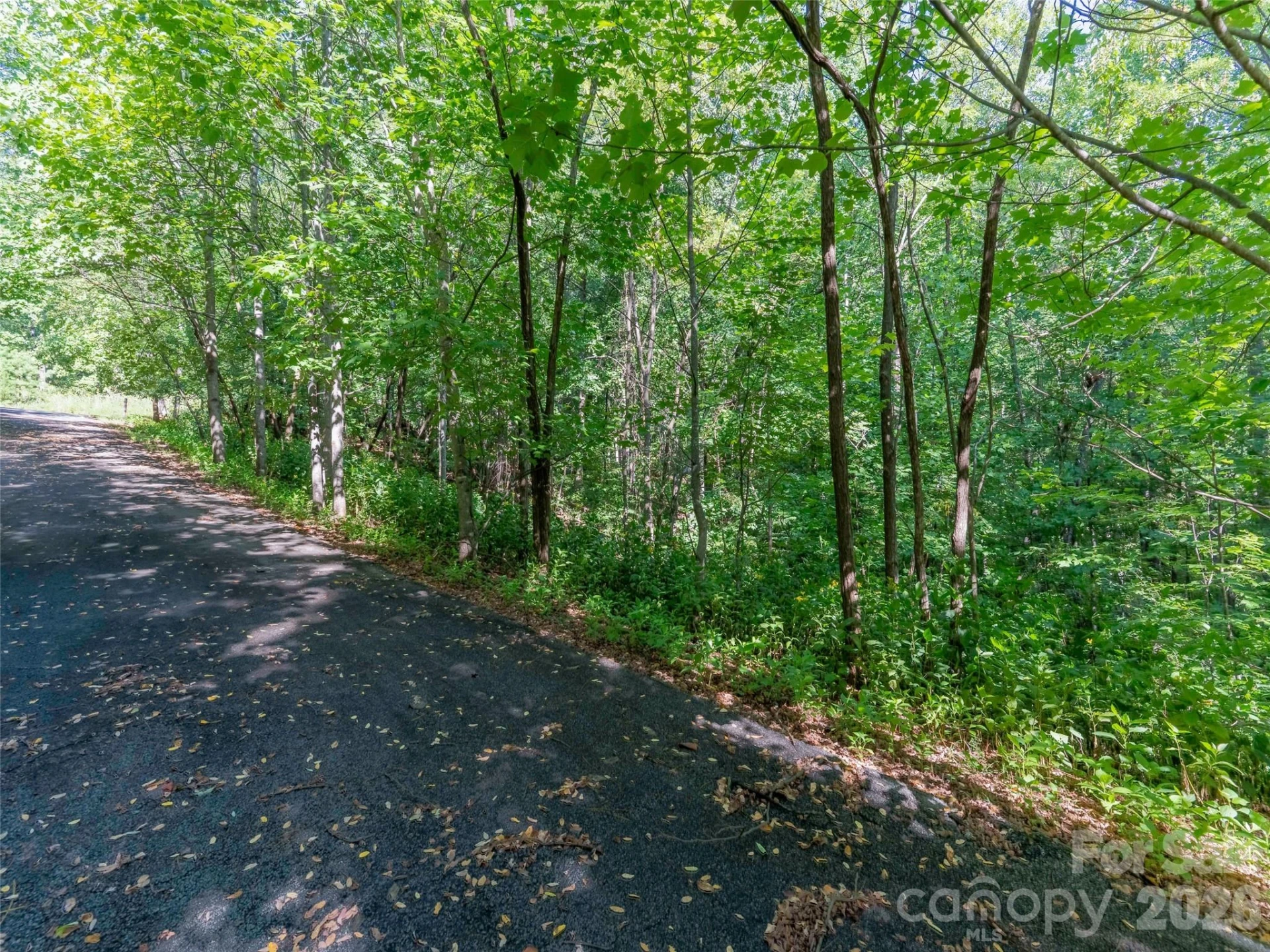 Lot 177 Grafton None - Photo 2