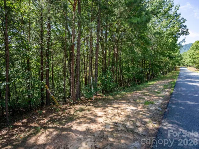 Lot 2010 Deep Gap Farm None W, Mill Spring, NC, 28756