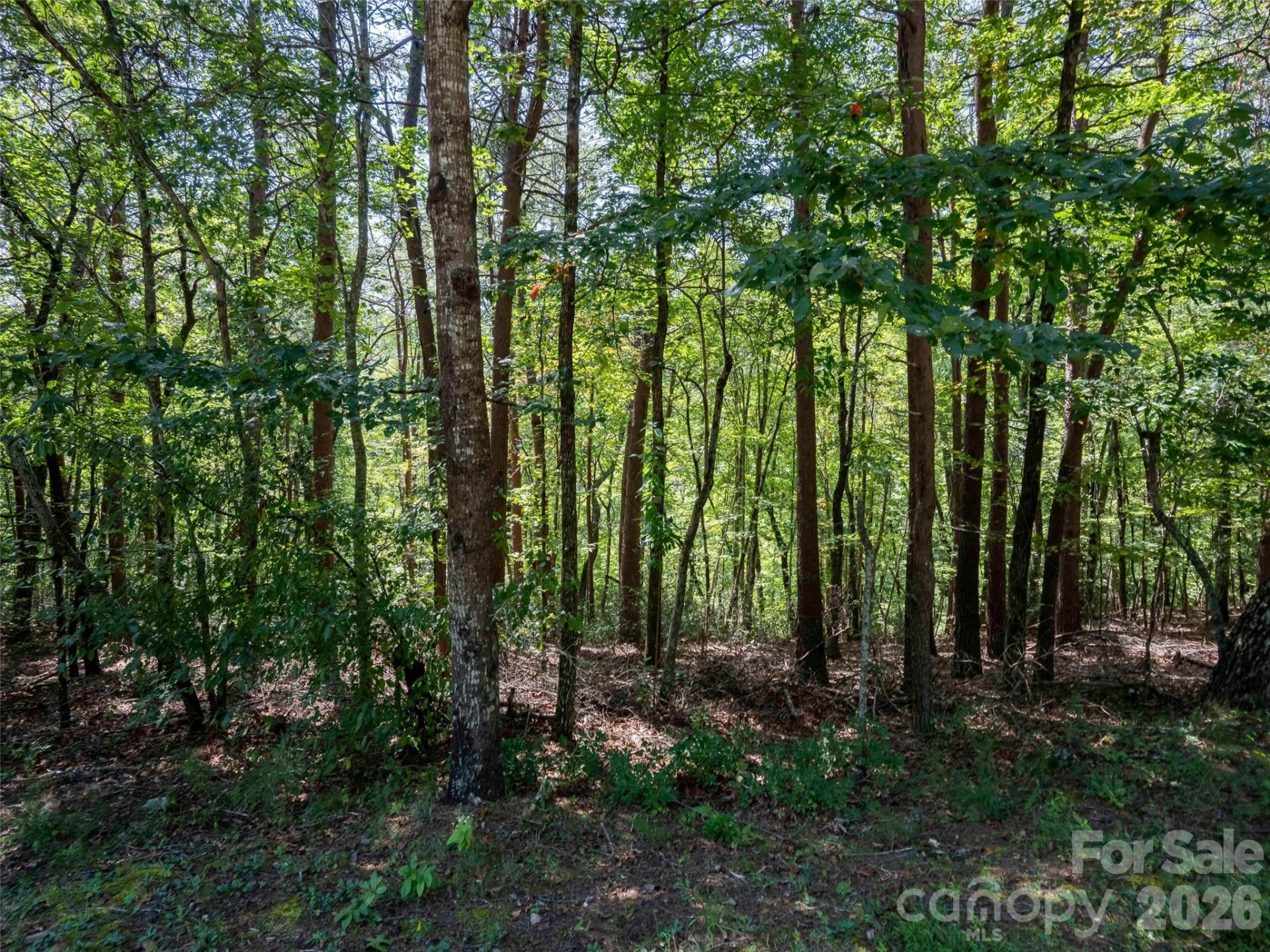 Lot 2010 Deep Gap Farm None W - Photo 2