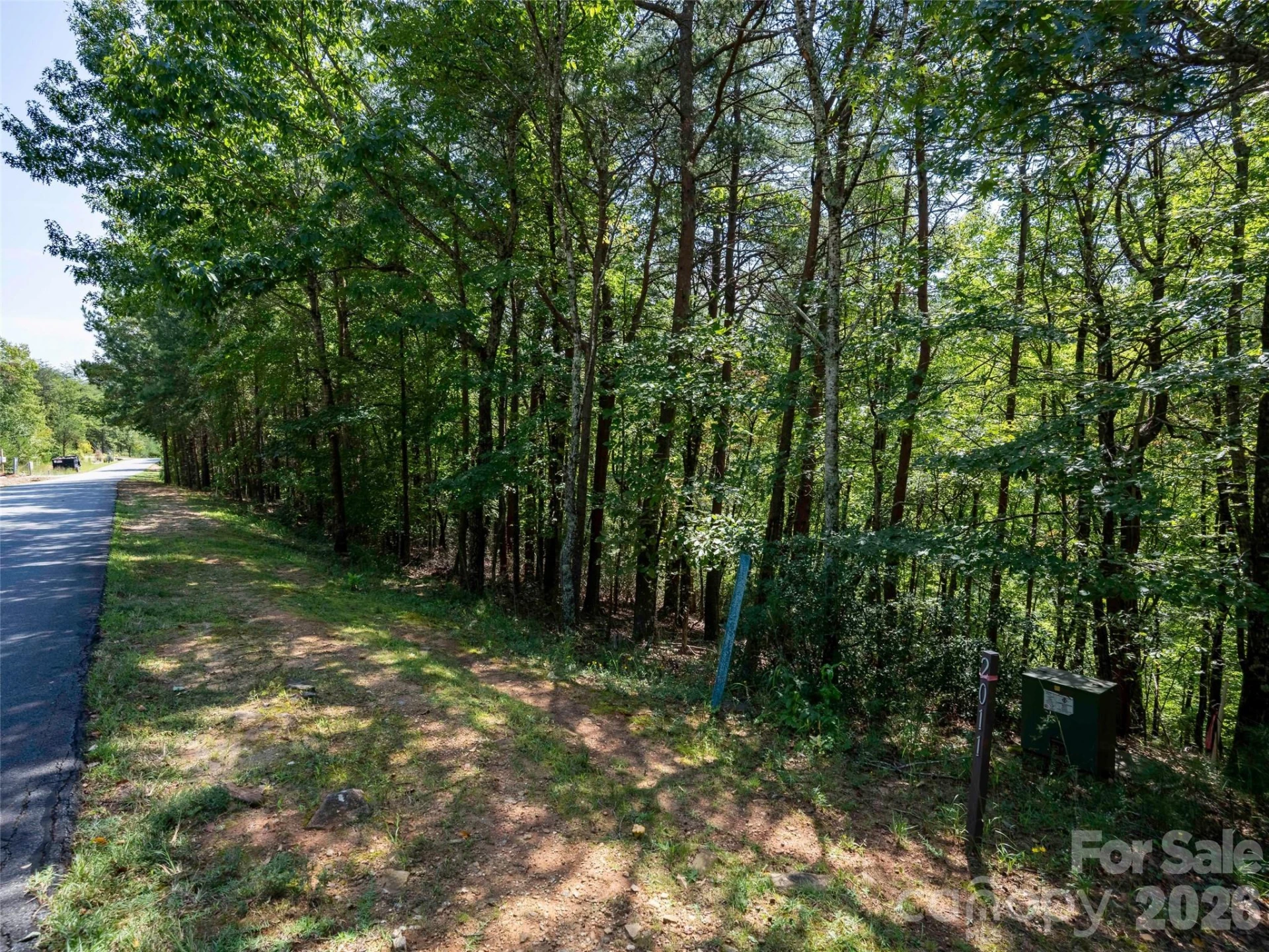Lot 2010 Deep Gap Farm None W - Photo 3