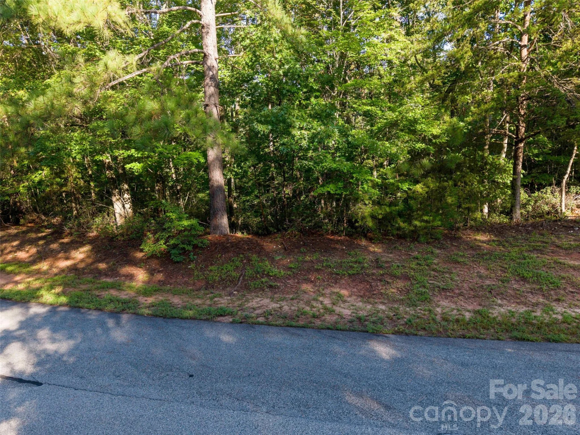 0 Woodward Drive #12 - Photo 3