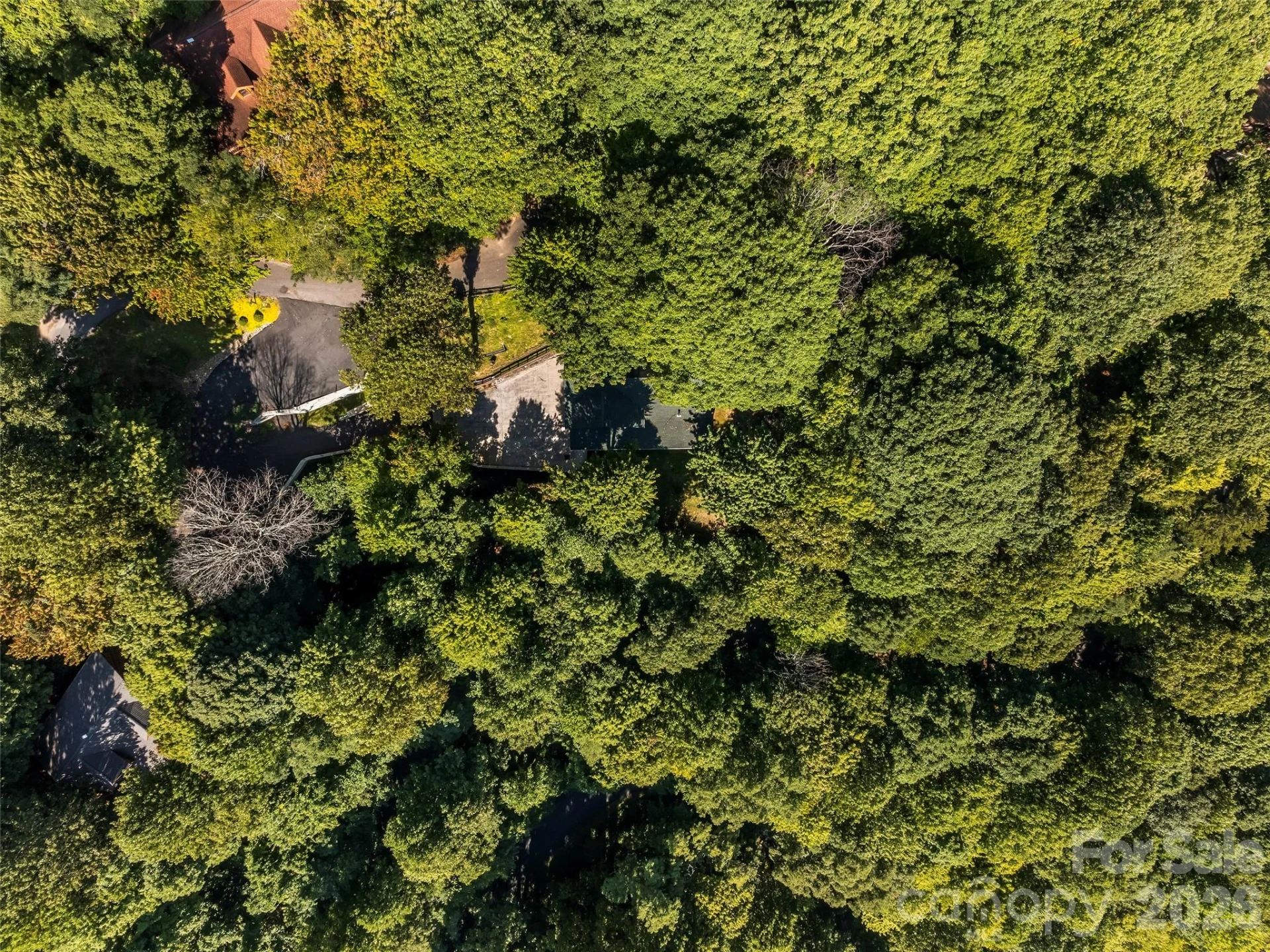 44 Kamama Trail - Photo 42