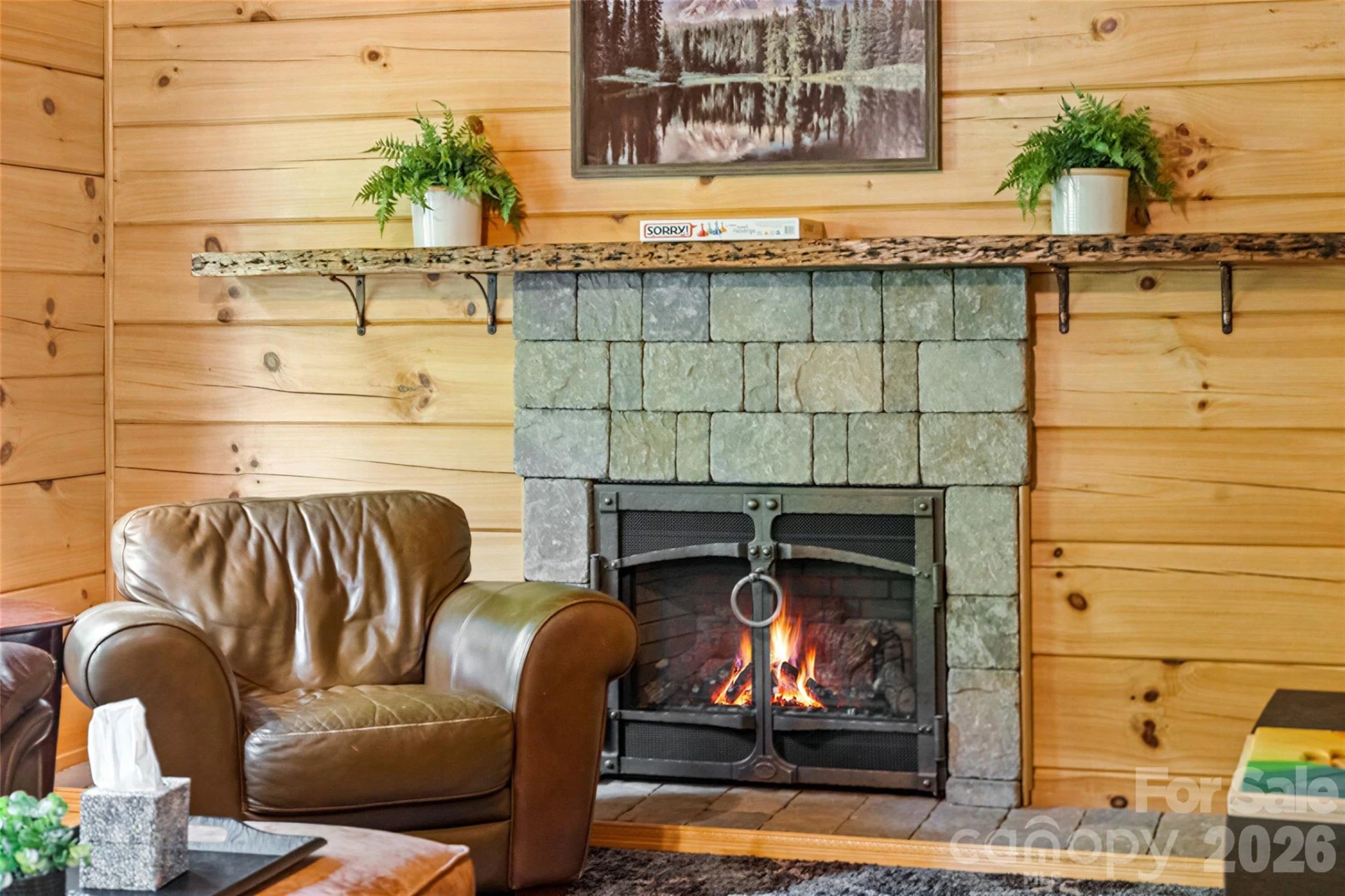 213 Big Valley Road - Photo 13