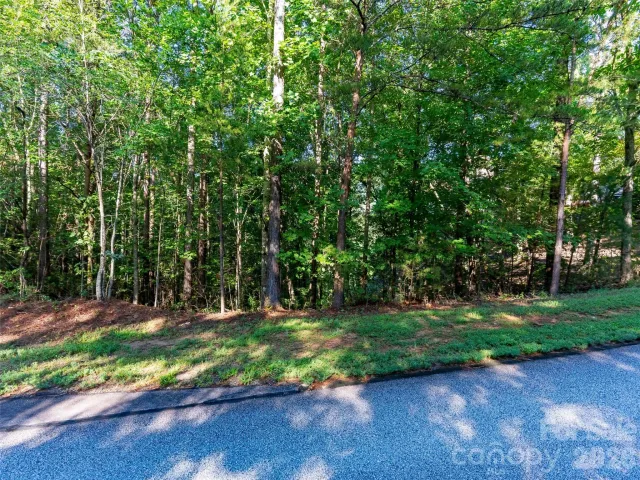0 Deep Gap Farm Drive E, Mill Spring, NC, 28756