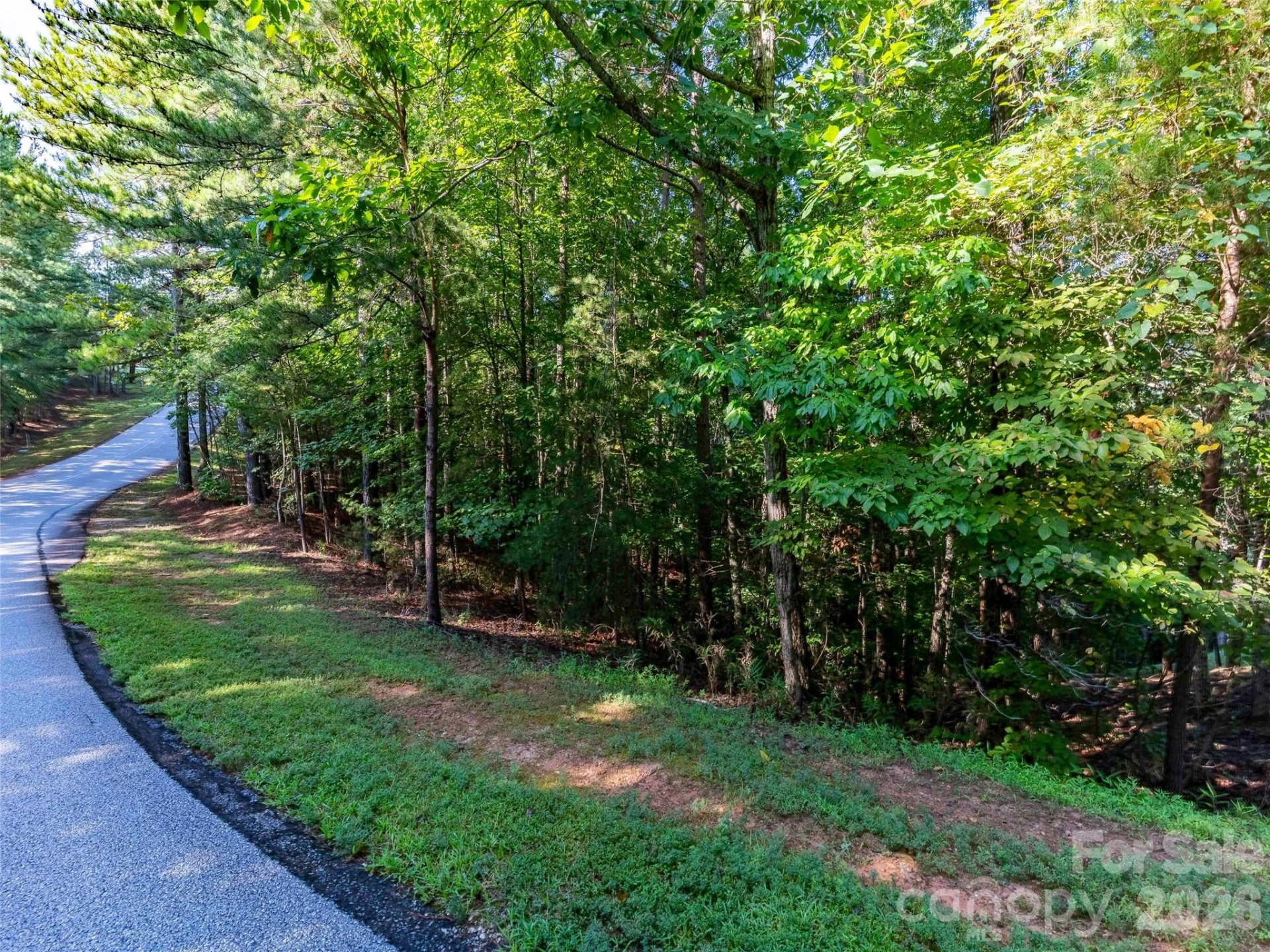 0 Deep Gap Farm Drive E #34 - Photo 2