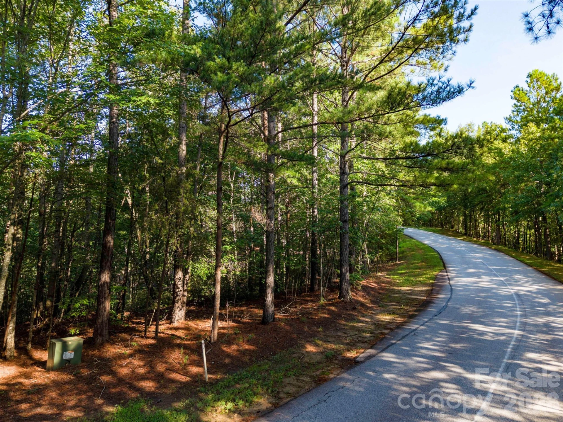 0 Deep Gap Farm Drive E #34 - Photo 4