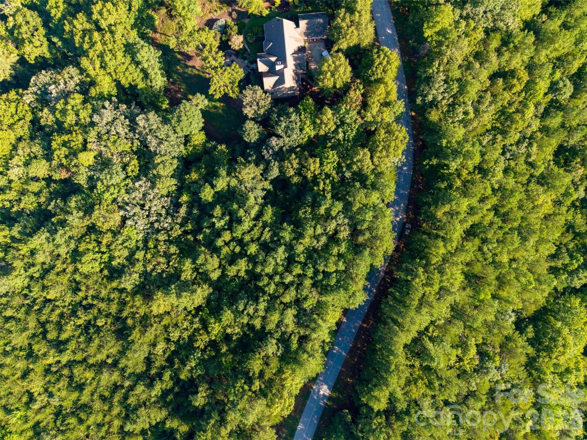 0 Deep Gap Farm Drive E #34 - Photo 6