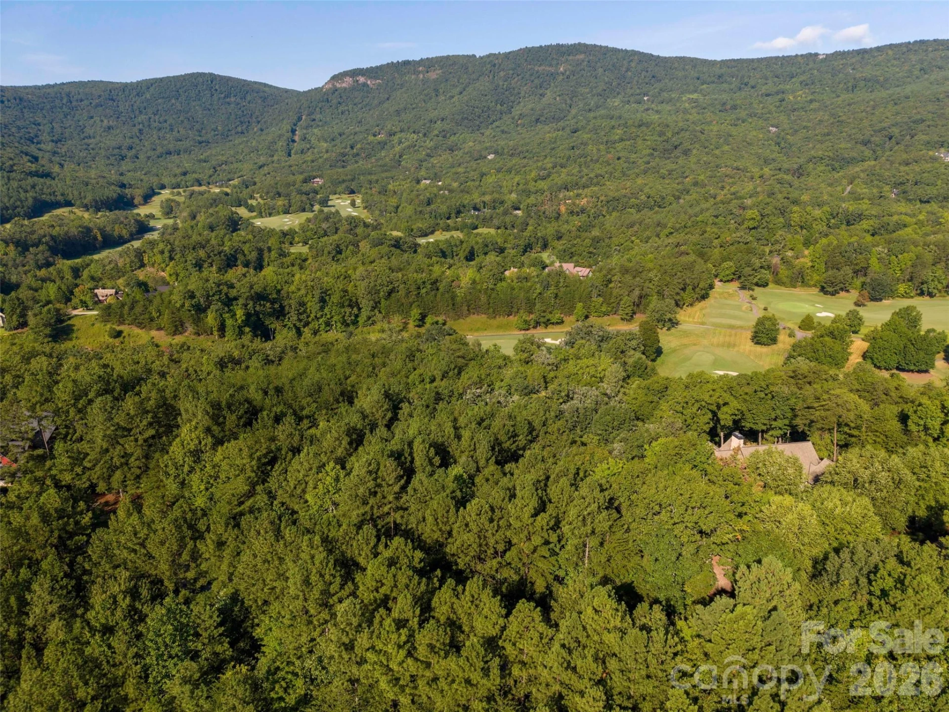 0 Deep Gap Farm Drive E #34 - Photo 11