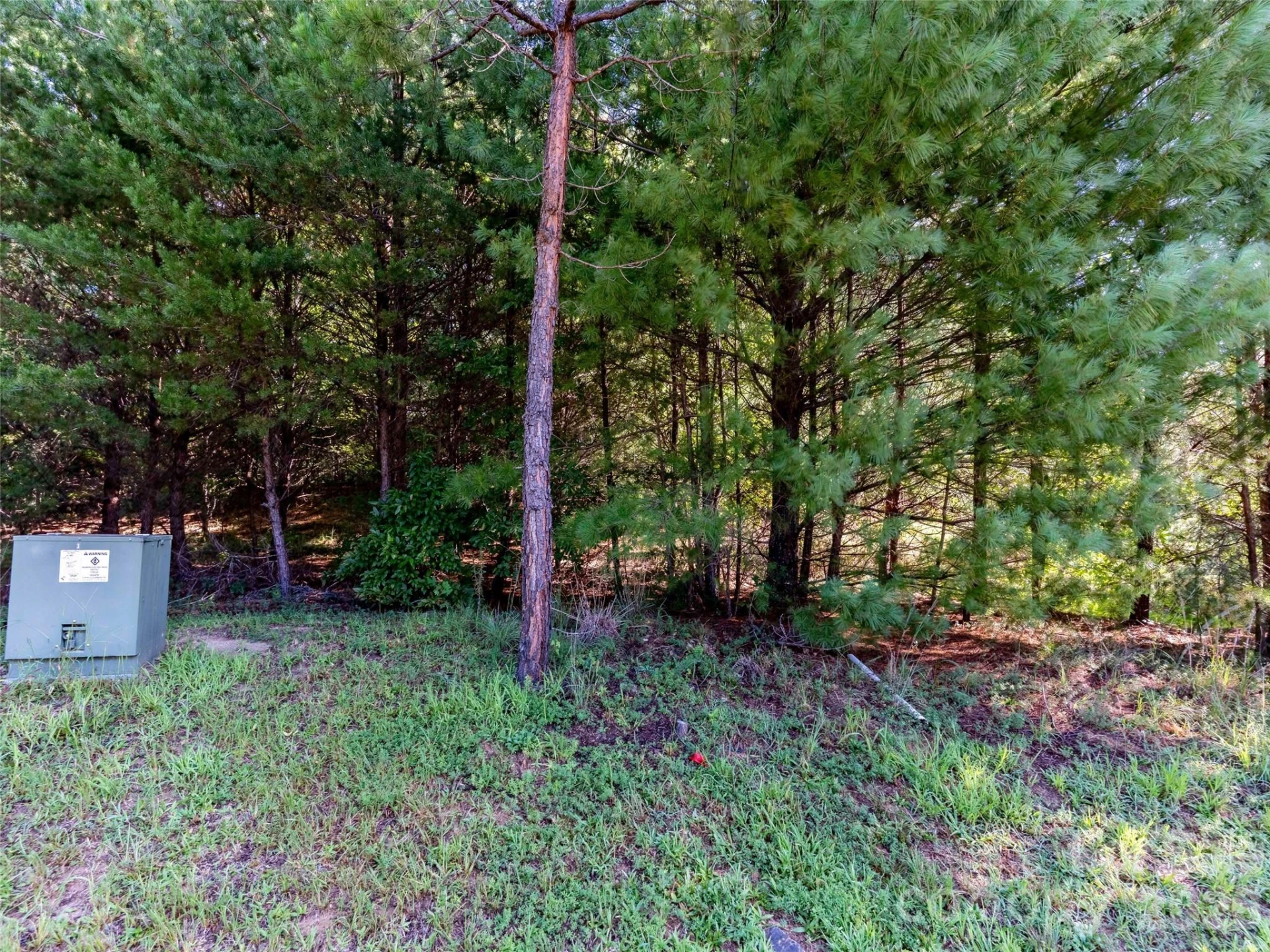 0 Elkton Court W #138 - Photo 2