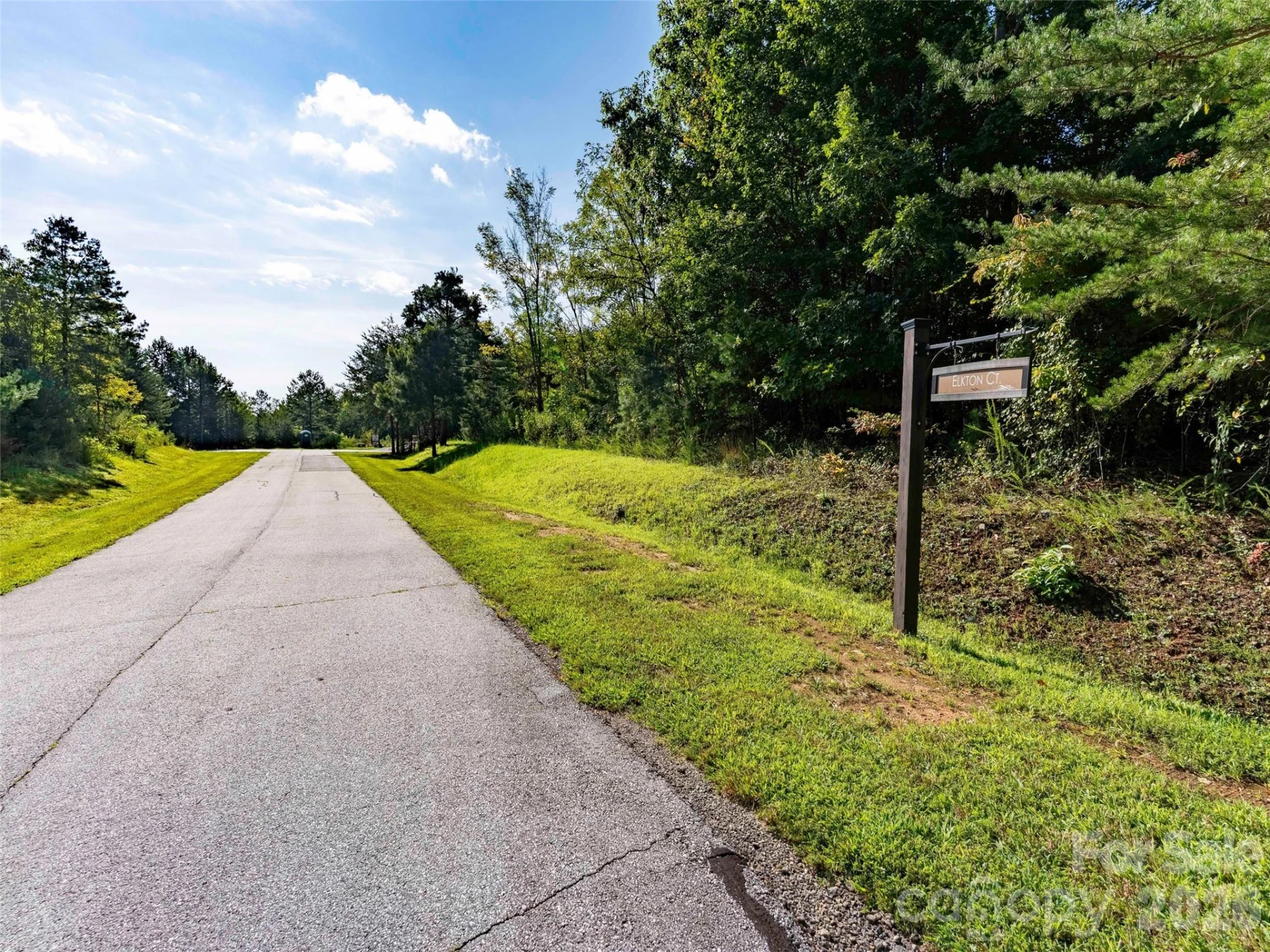 0 Elkton Court W #138 - Photo 3