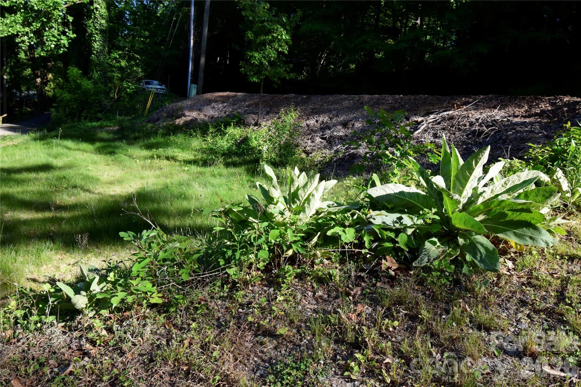 539 Bailey Road - Photo 4