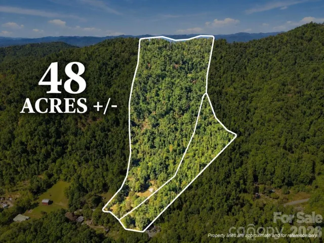 360 Poverty Branch Road, Barnardsville, NC, 28709