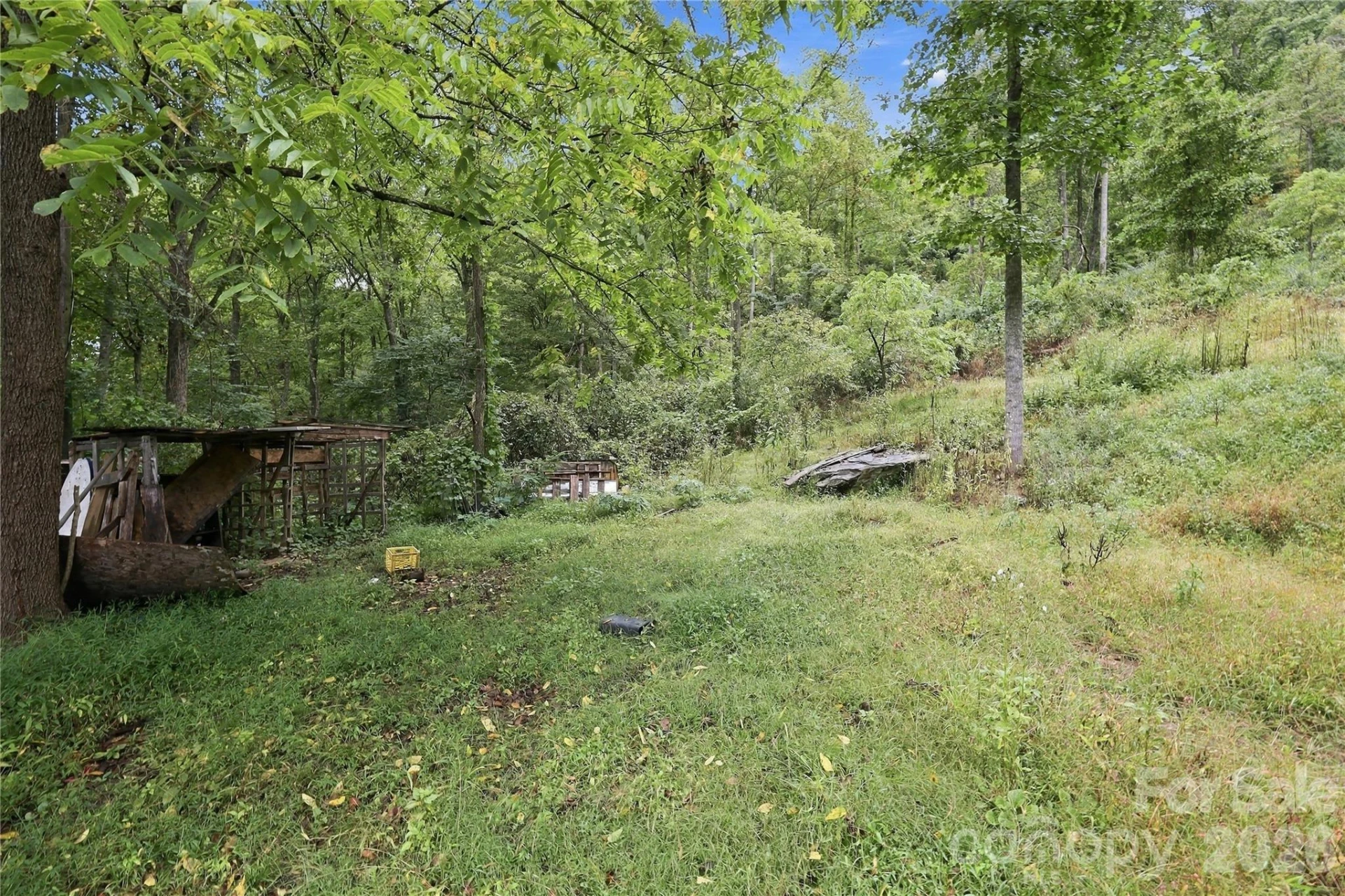 360 Poverty Branch Road - Photo 12
