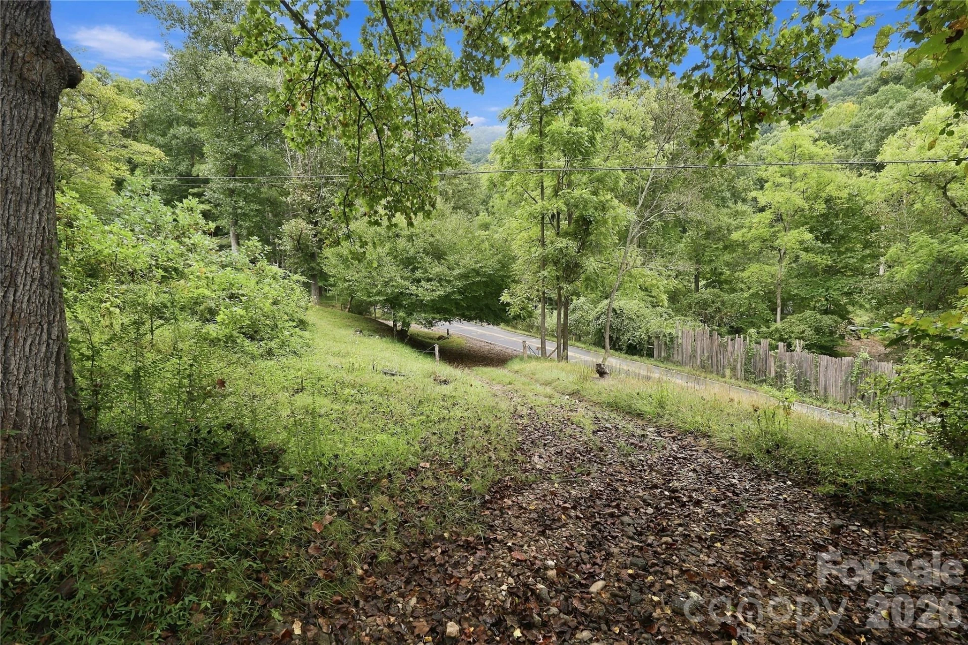 360 Poverty Branch Road - Photo 14