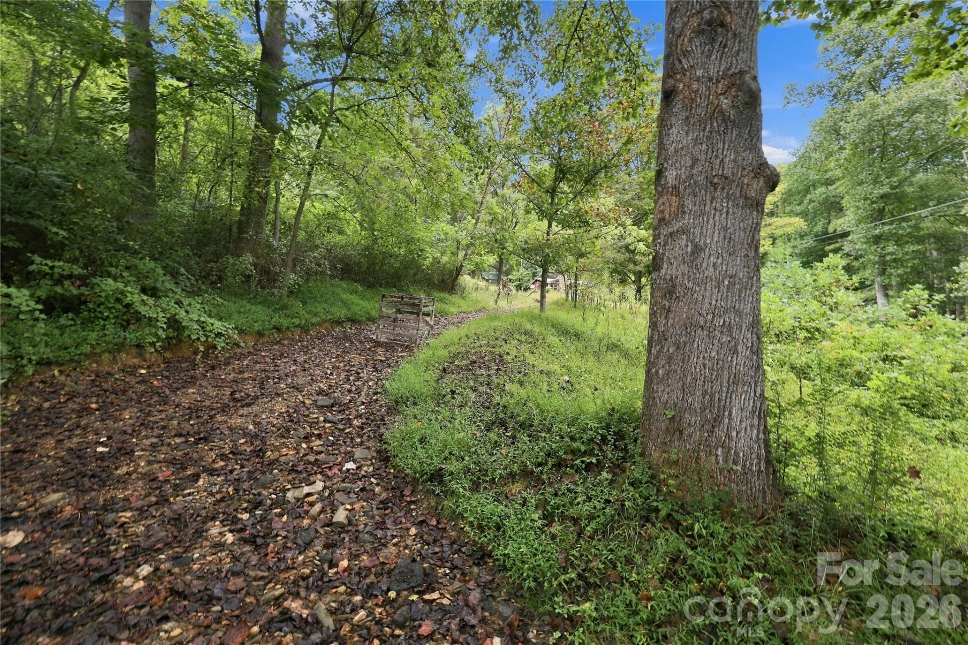 360 Poverty Branch Road - Photo 15