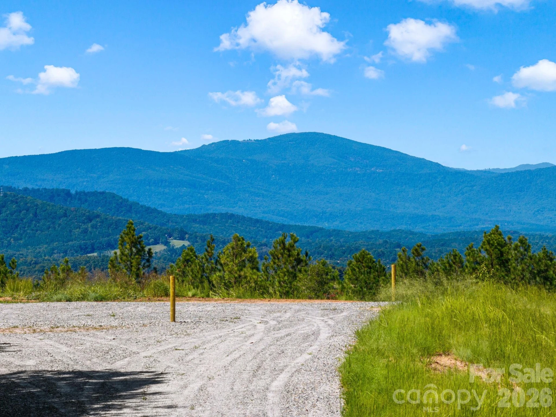 TBD Williams Loop - Photo 4